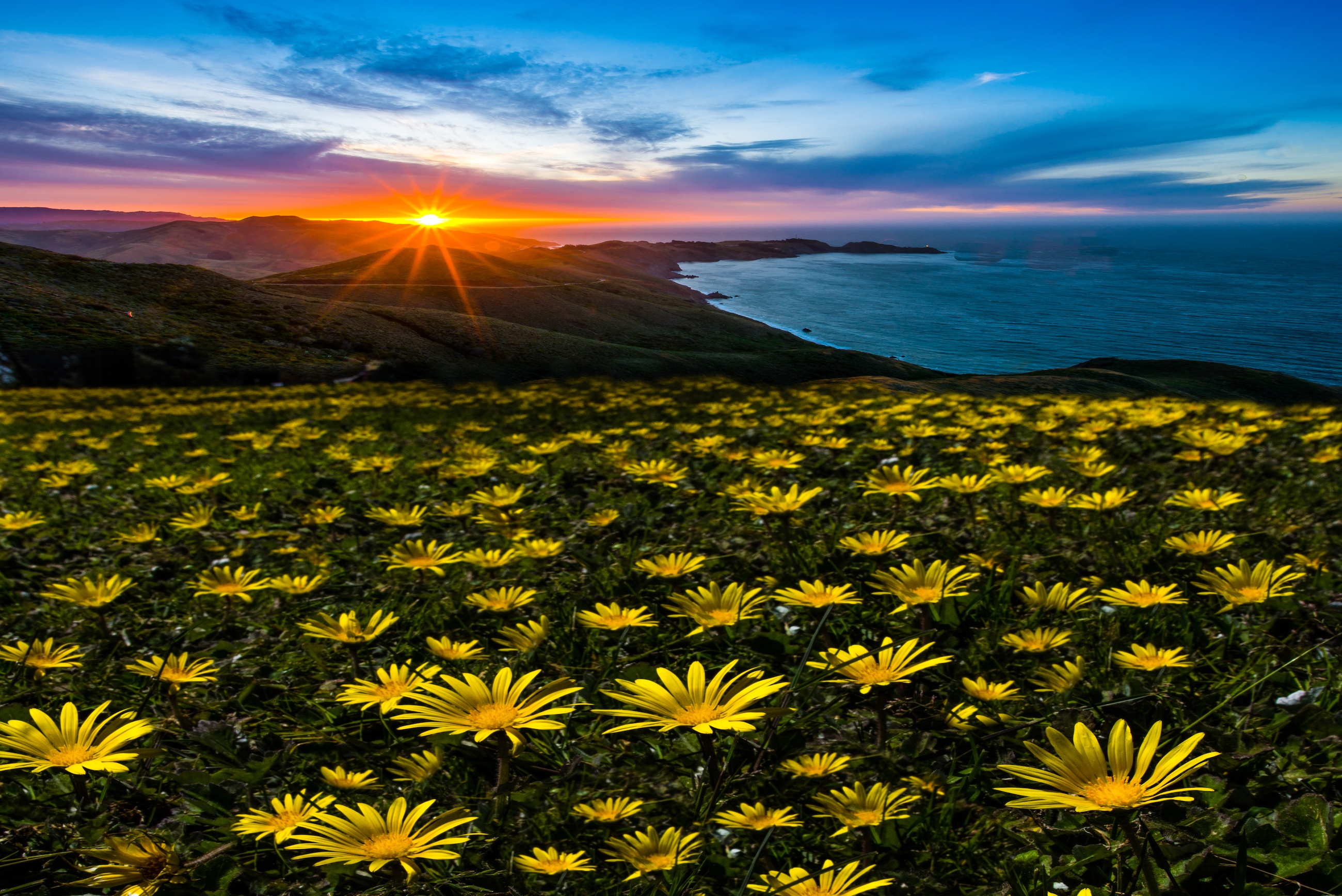 Free download wallpaper Landscape, Nature, Sunset, Flower, Ocean, Earth, Coastline on your PC desktop