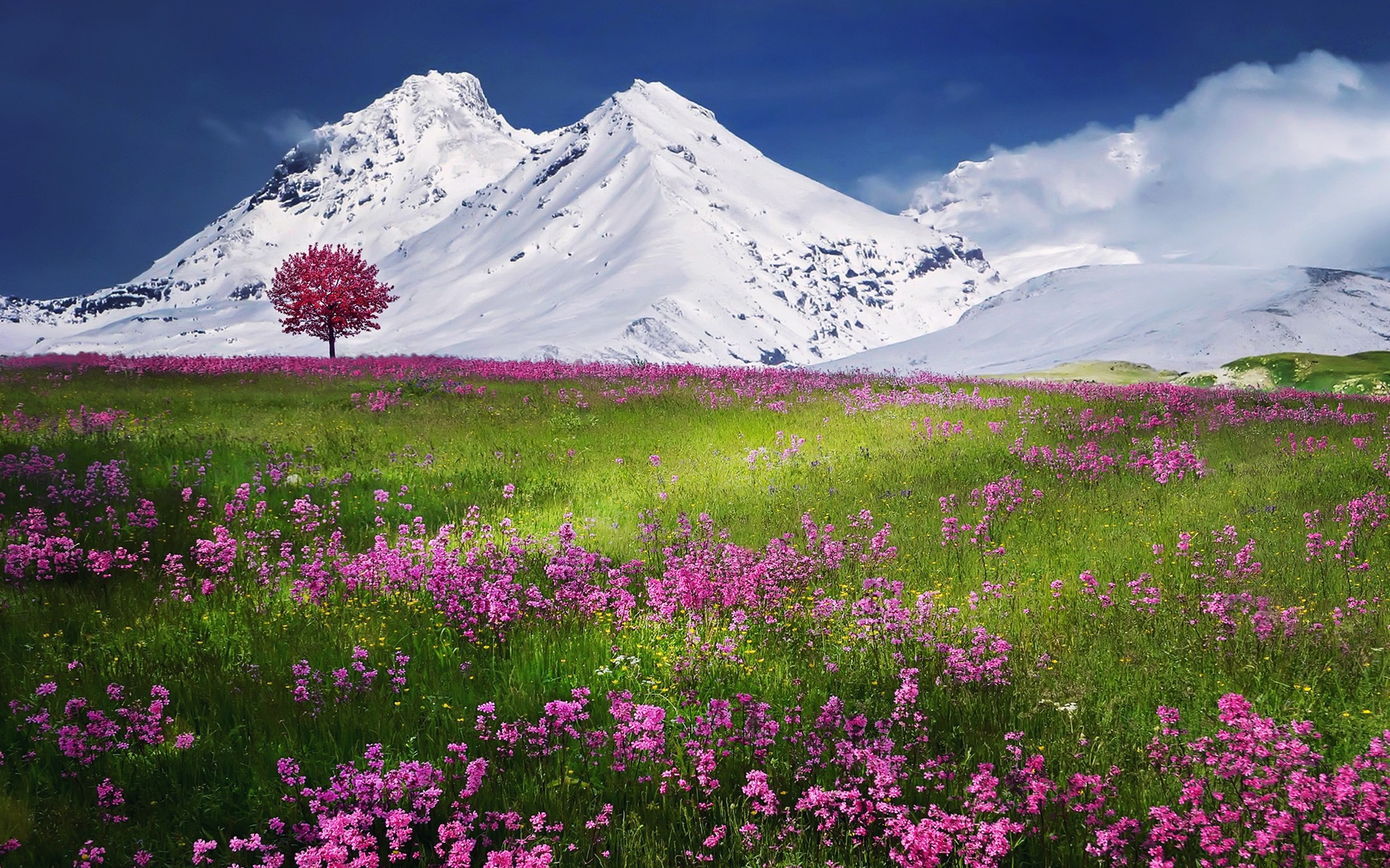 Free download wallpaper Landscape, Earth on your PC desktop