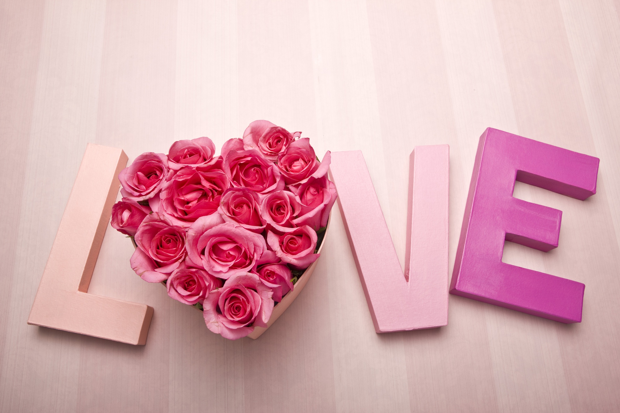 Laden Sie das Liebe, Blume, Rose, Wort, Fotografie, Romantisch, Pinke Blume-Bild kostenlos auf Ihren PC-Desktop herunter