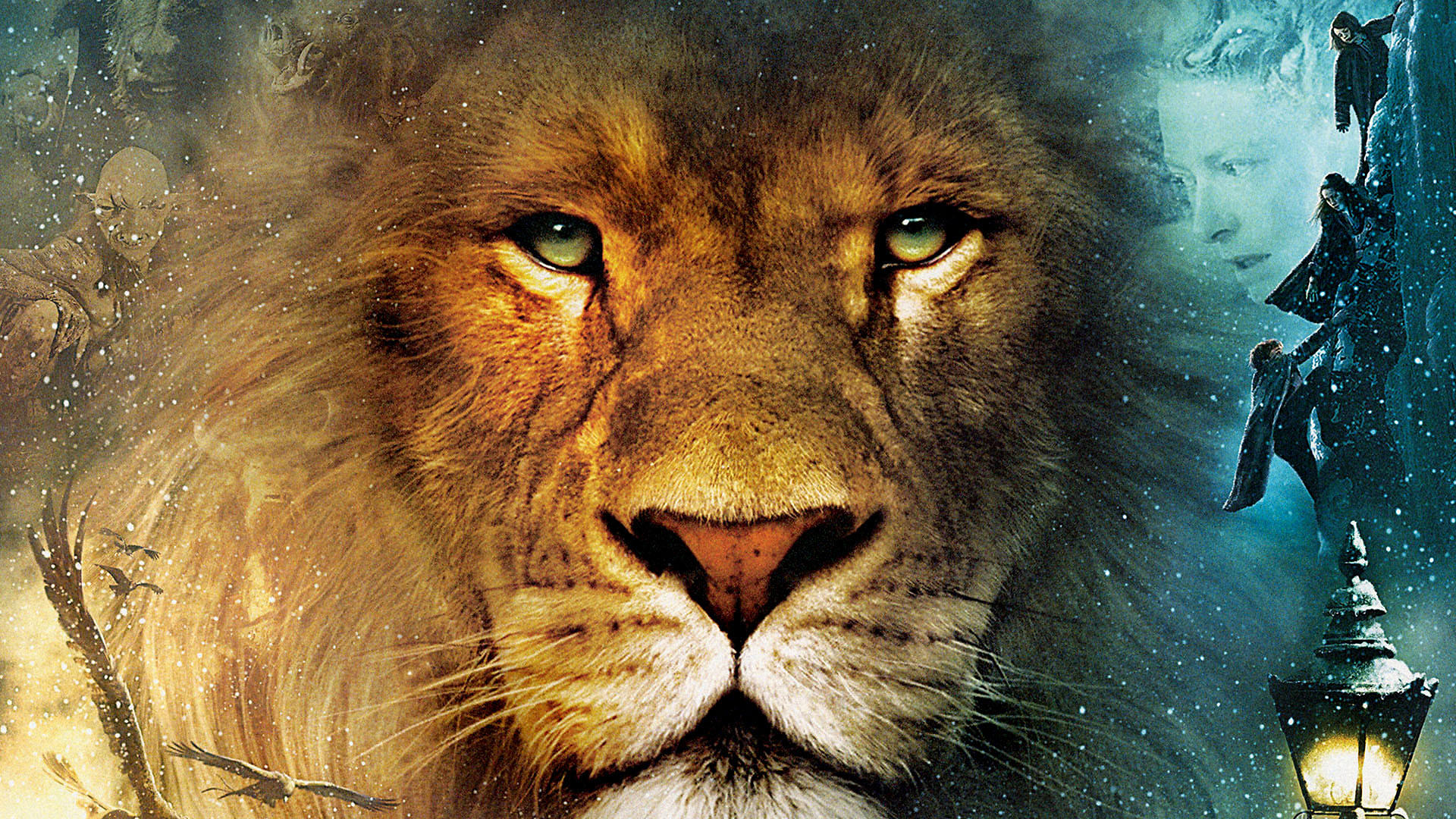 movie, the chronicles of narnia: the lion the witch and the wardrobe, lion