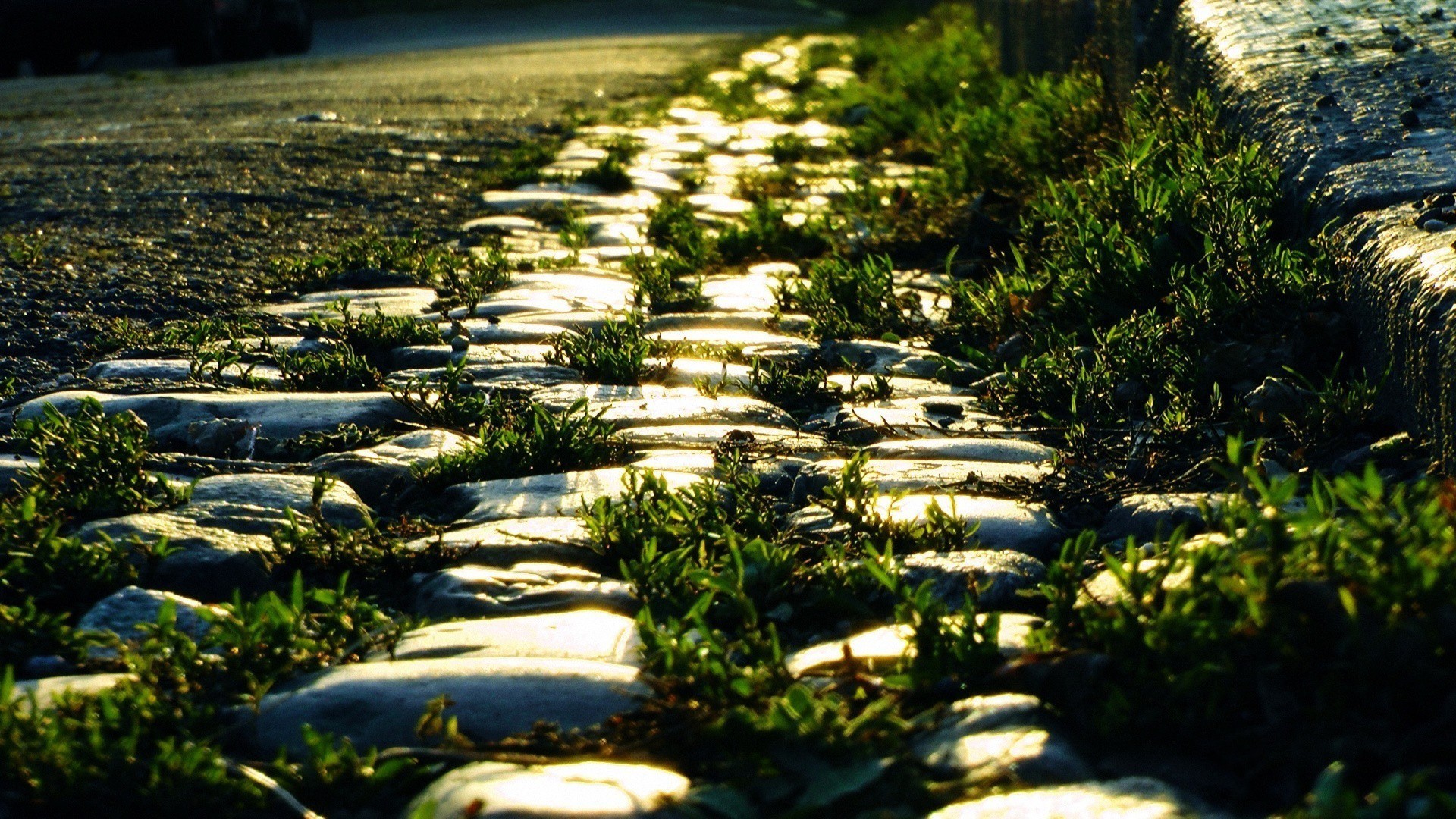 Download mobile wallpaper Reflection, Light, Road, Close Up, Earth, Path, Street, Cobblestone for free.