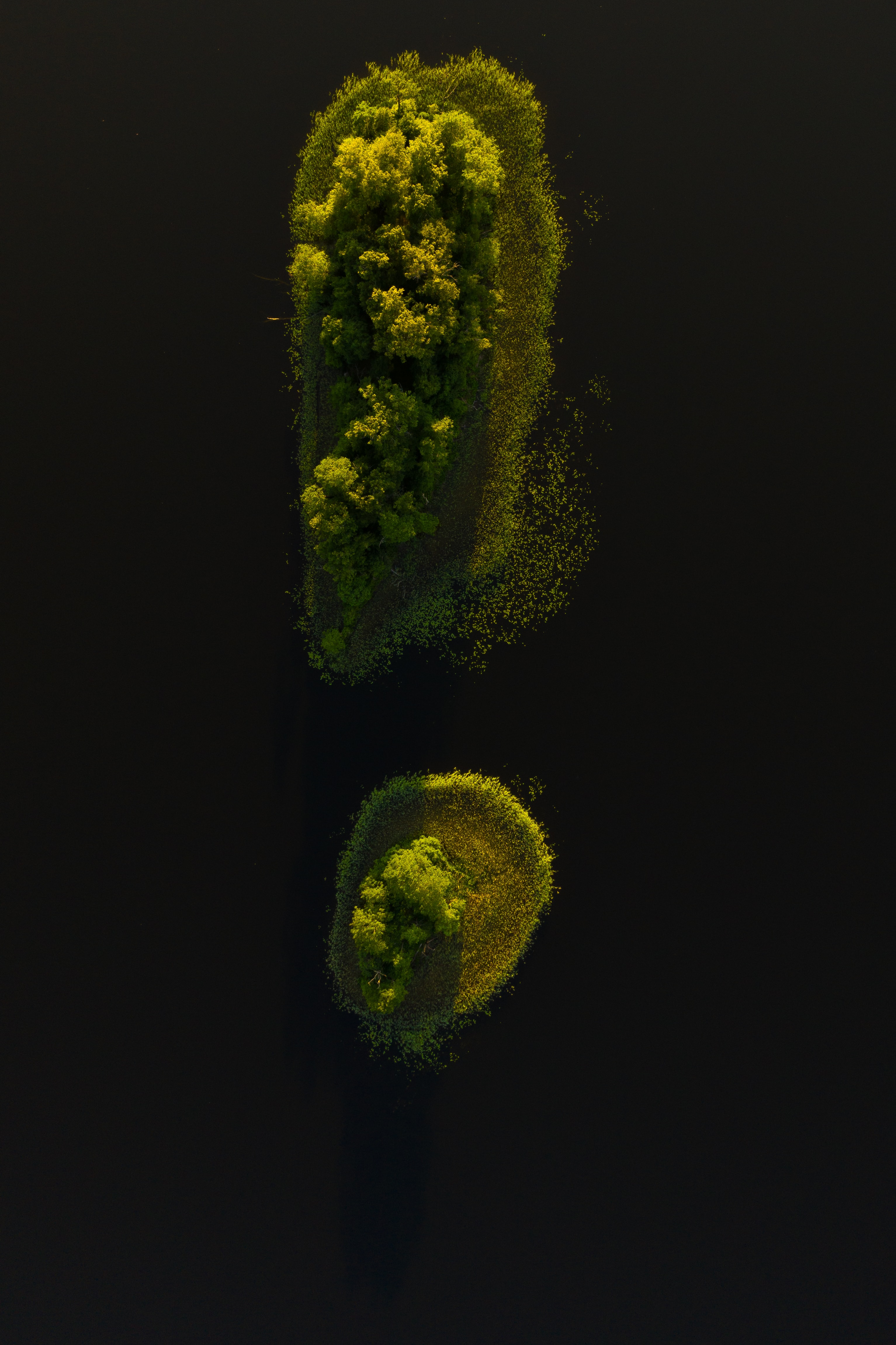 water, nature, trees, view from above, island