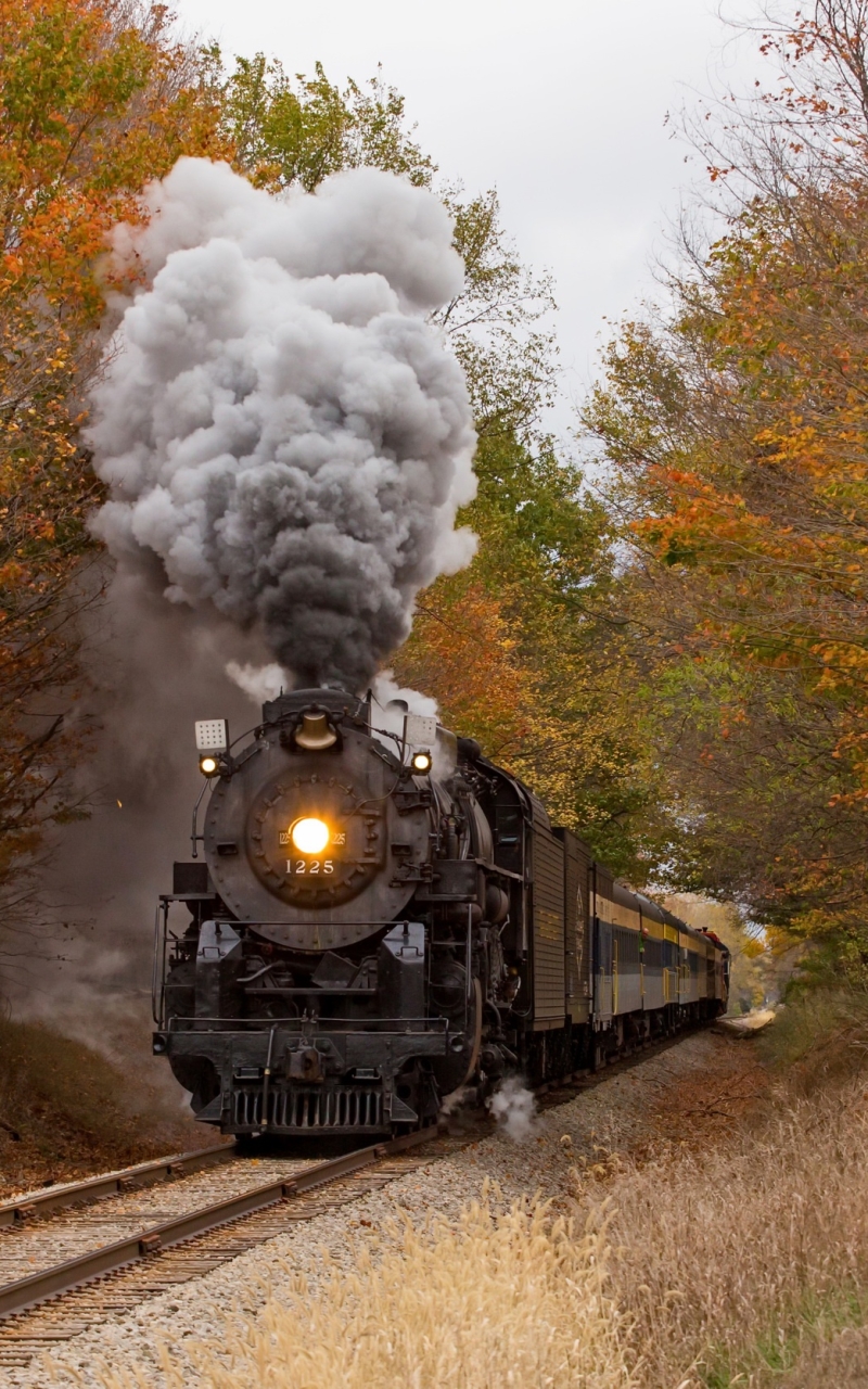 Download mobile wallpaper Smoke, Fall, Train, Locomotive, Railroad, Vehicle, Vehicles for free.