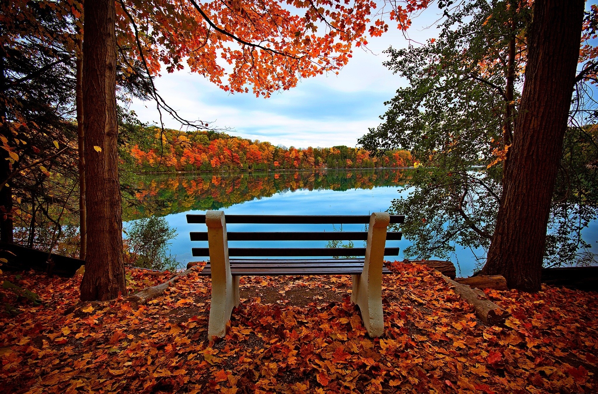 autumn, nature, rivers, trees, lake, bench