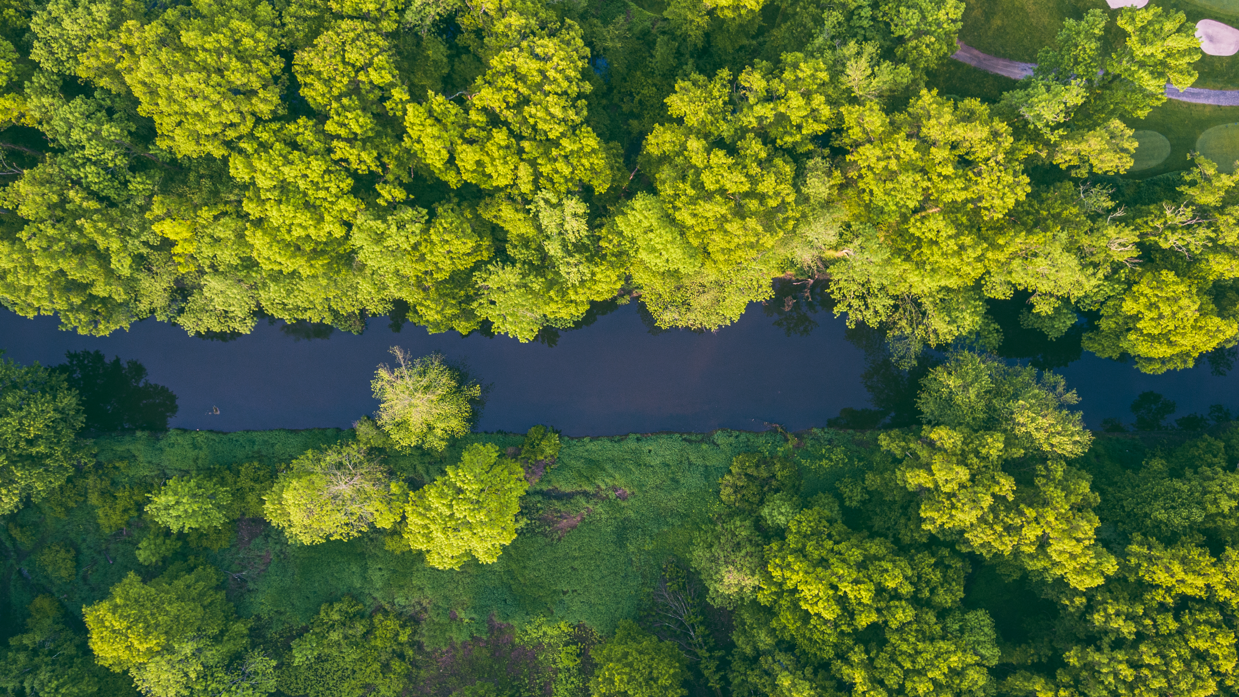 無料モバイル壁紙自然, 木, 上から見る, 川をダウンロードします。