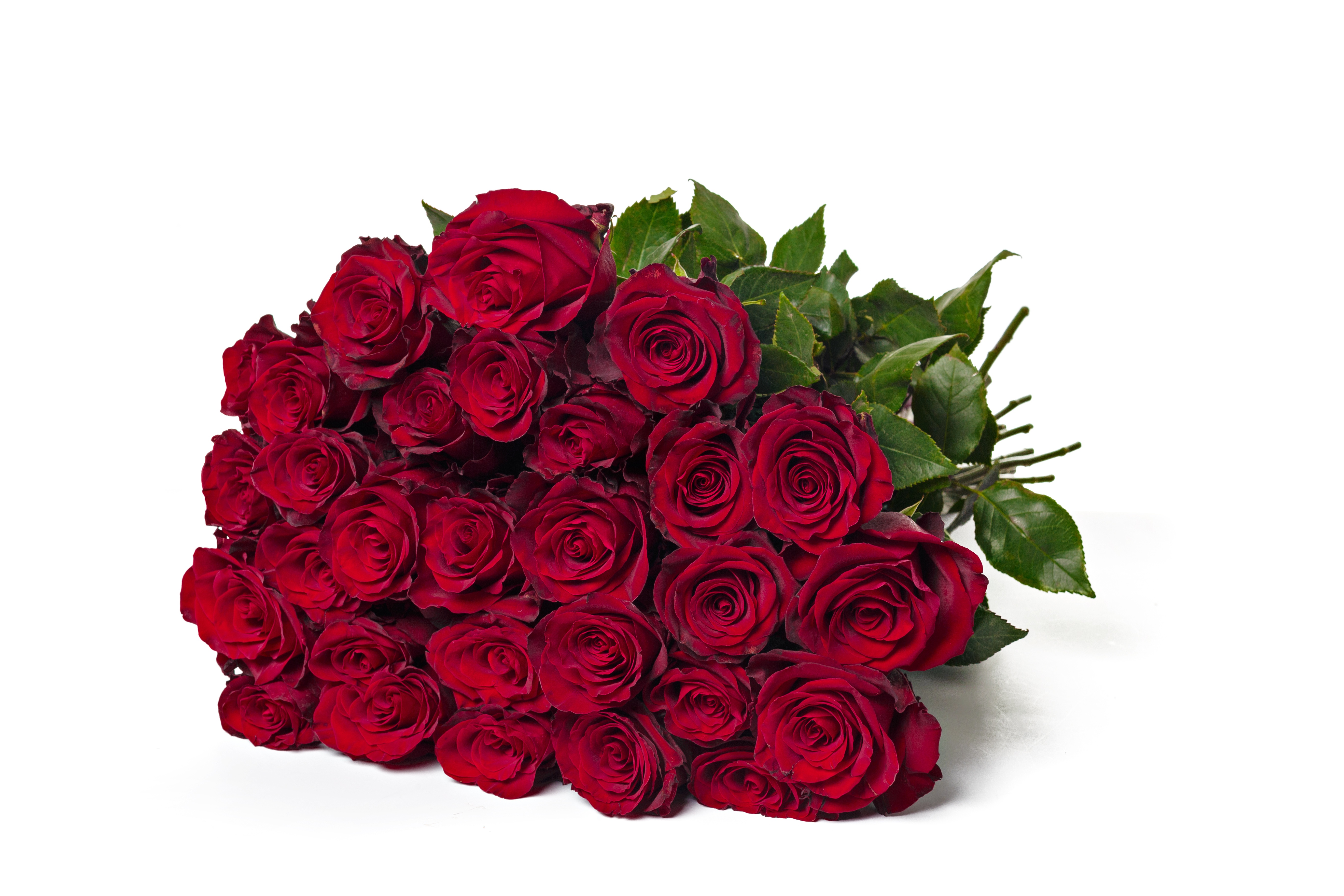 Free download wallpaper Flowers, Rose, Bouquet, Earth, Red Flower on your PC desktop
