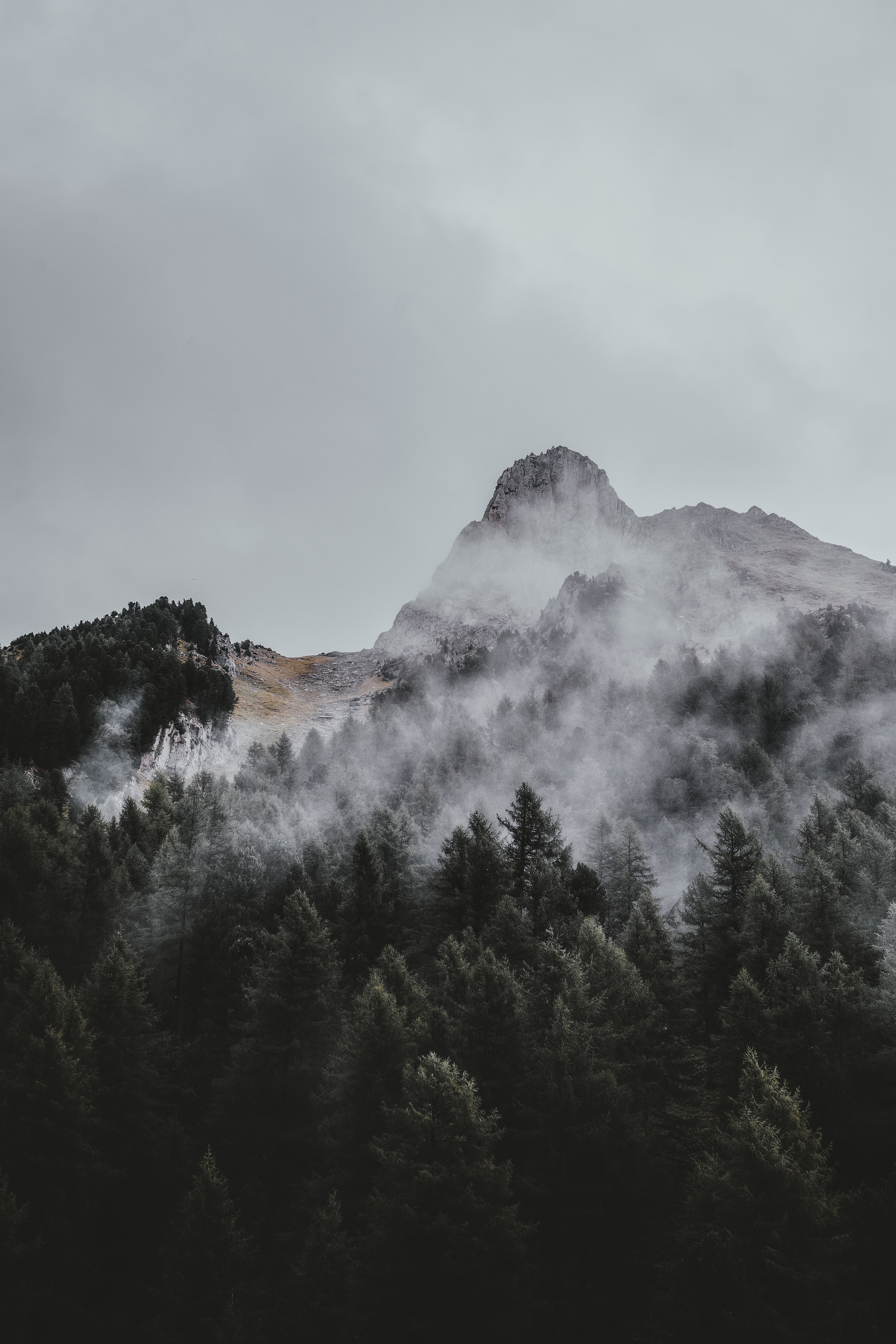 nature, trees, sky, view from above, mountain, vertex, top, fog for Windows