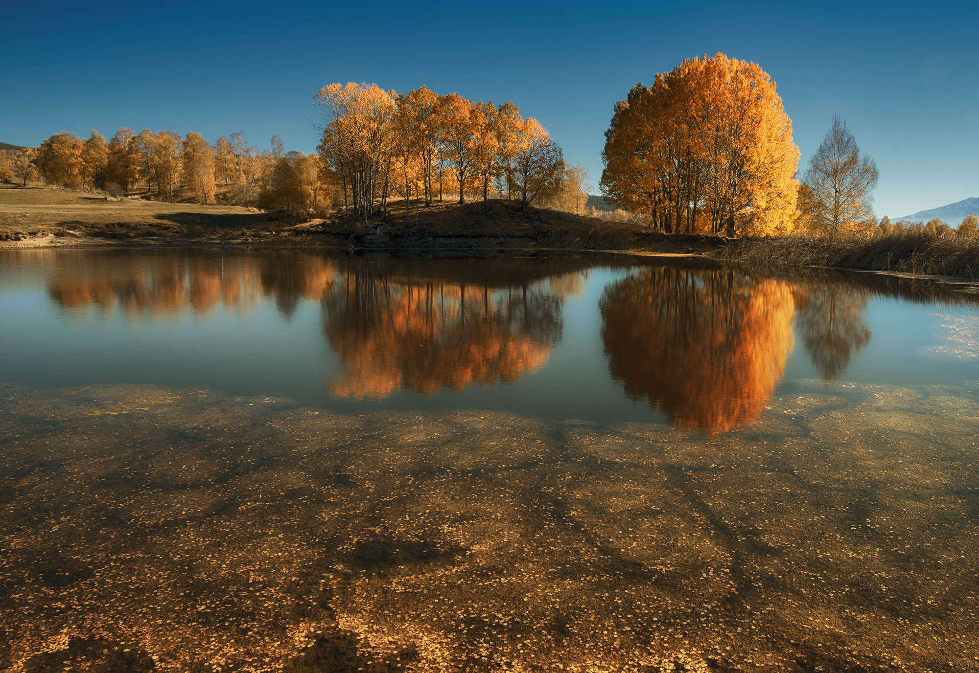 356447 descargar imagen tierra/naturaleza, lago, bulgaria, otoño, paisaje, naturaleza, reflejo, árbol, lagos: fondos de pantalla y protectores de pantalla gratis