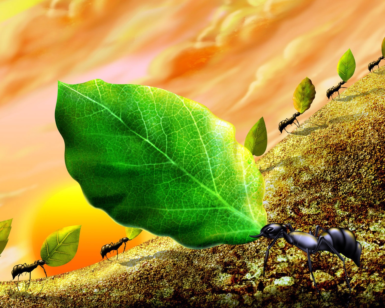 Laden Sie das Tiere, Ameise-Bild kostenlos auf Ihren PC-Desktop herunter