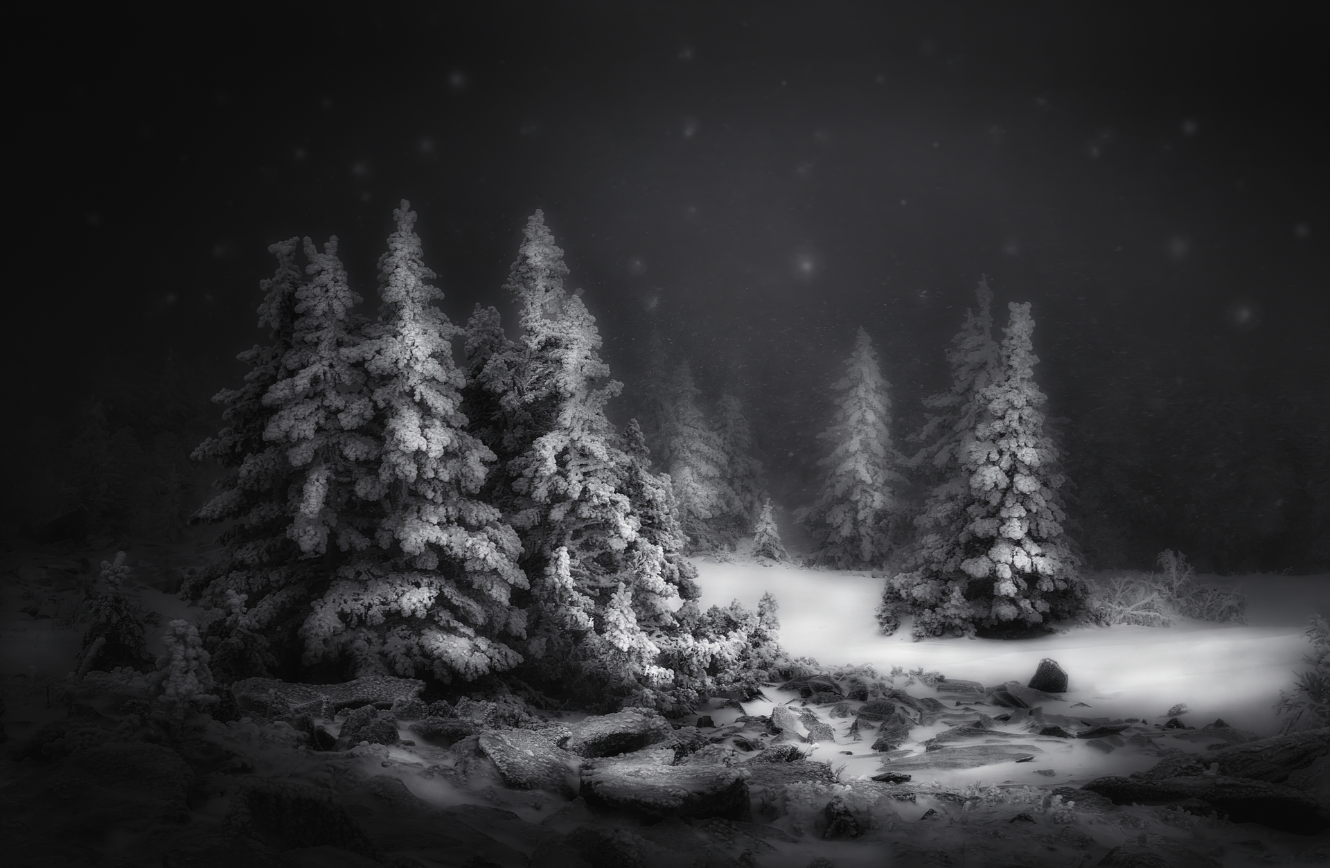 Скачать картинку Зима, Ночь, Снег, Чёрно Белое, Земля/природа в телефон бесплатно.
