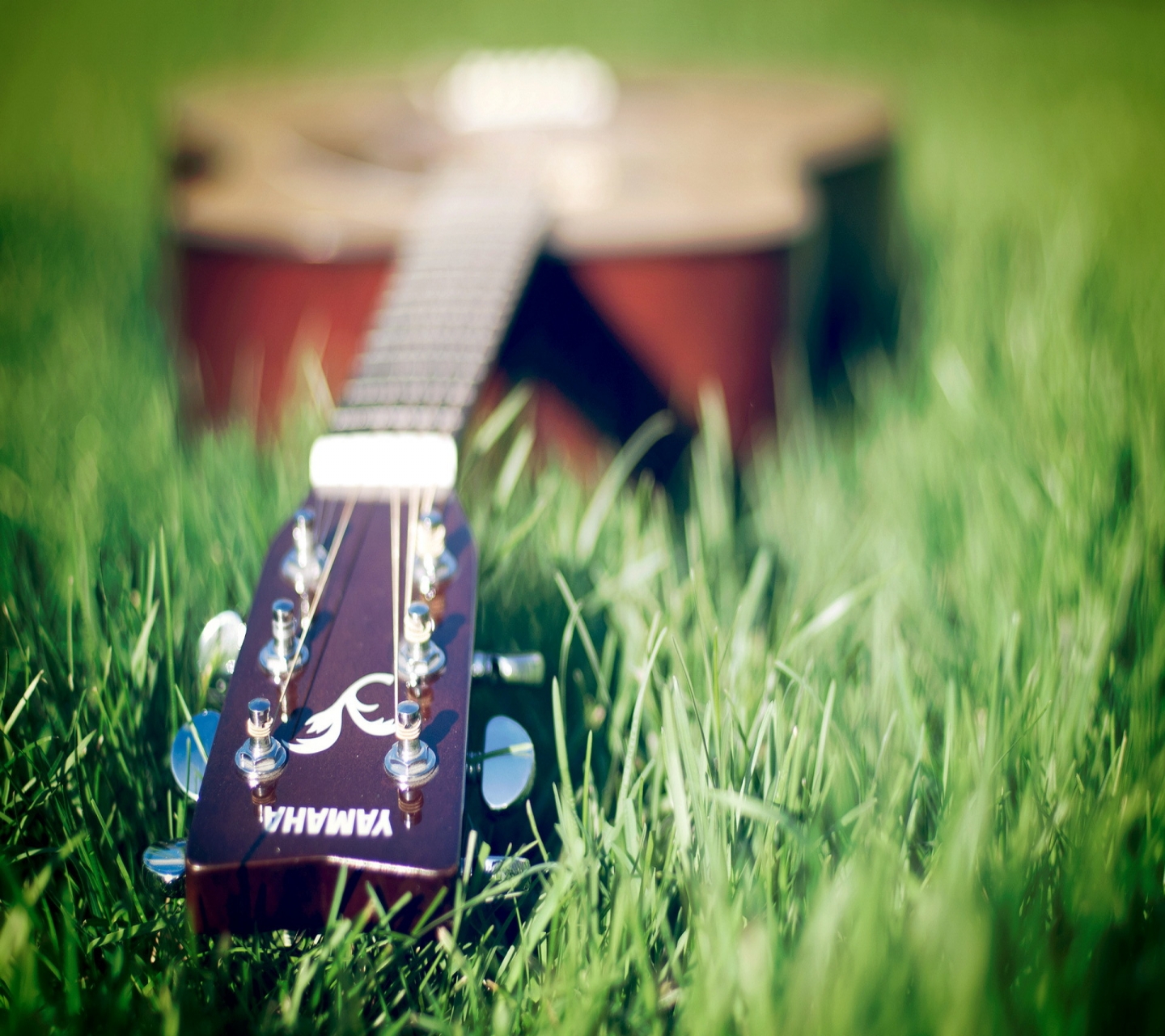 Free download wallpaper Music, Guitar on your PC desktop