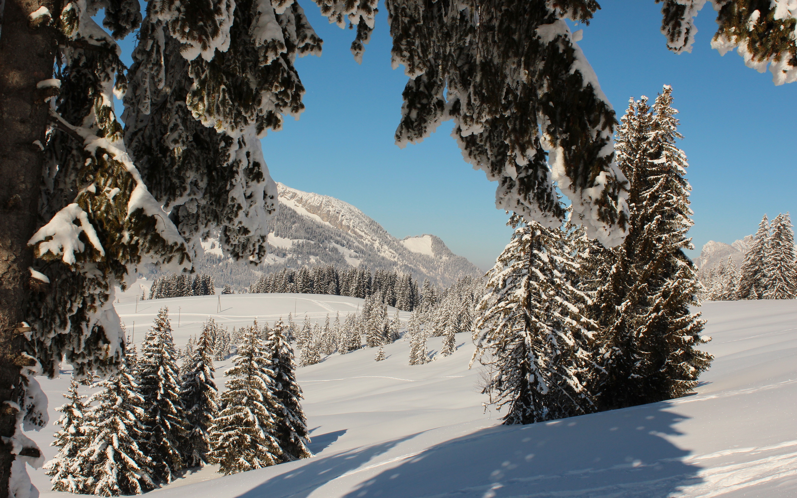 Téléchargez gratuitement l'image Hiver, Terre/nature sur le bureau de votre PC