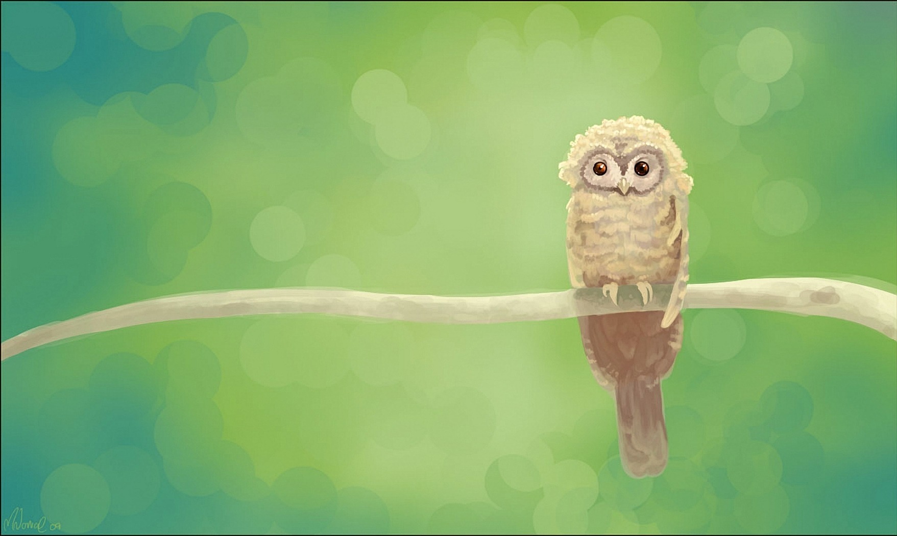 Download mobile wallpaper Owl, Birds, Animal for free.