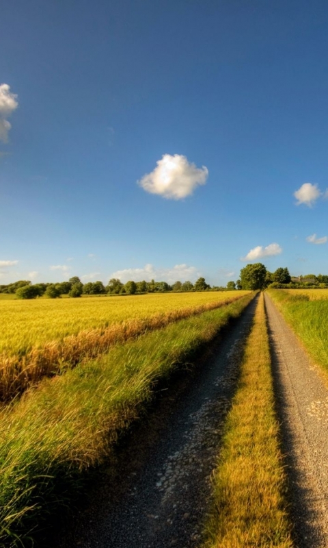 Download mobile wallpaper Landscape, Earth, Field, Path for free.