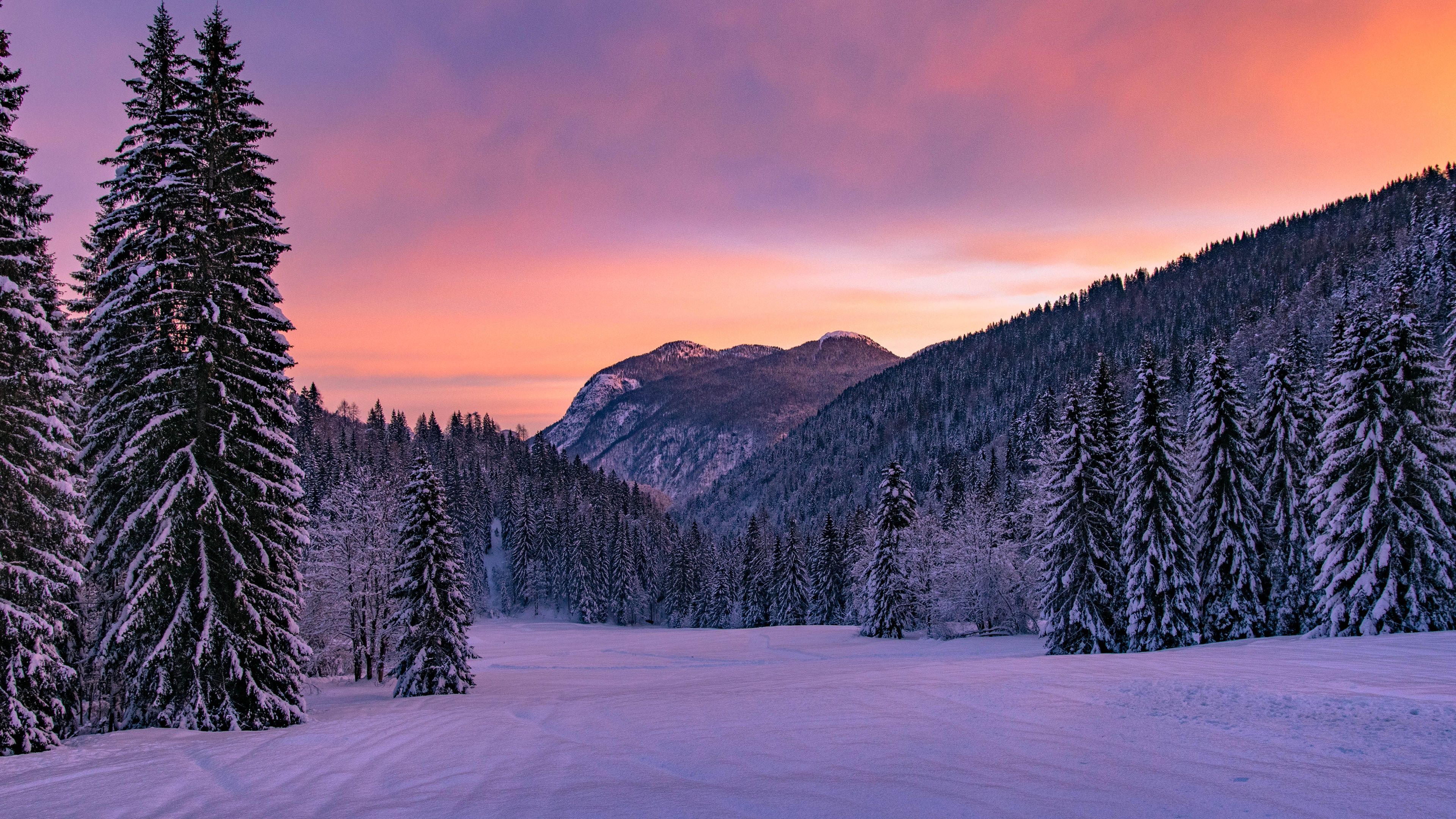 Free download wallpaper Landscape, Winter, Snow, Earth on your PC desktop