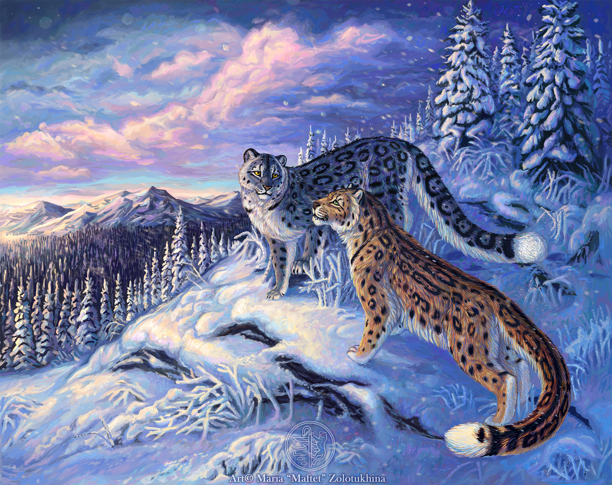 Laden Sie das Tiere, Katzen, Schneeleopard, Die Schneeleoparden-Bild kostenlos auf Ihren PC-Desktop herunter