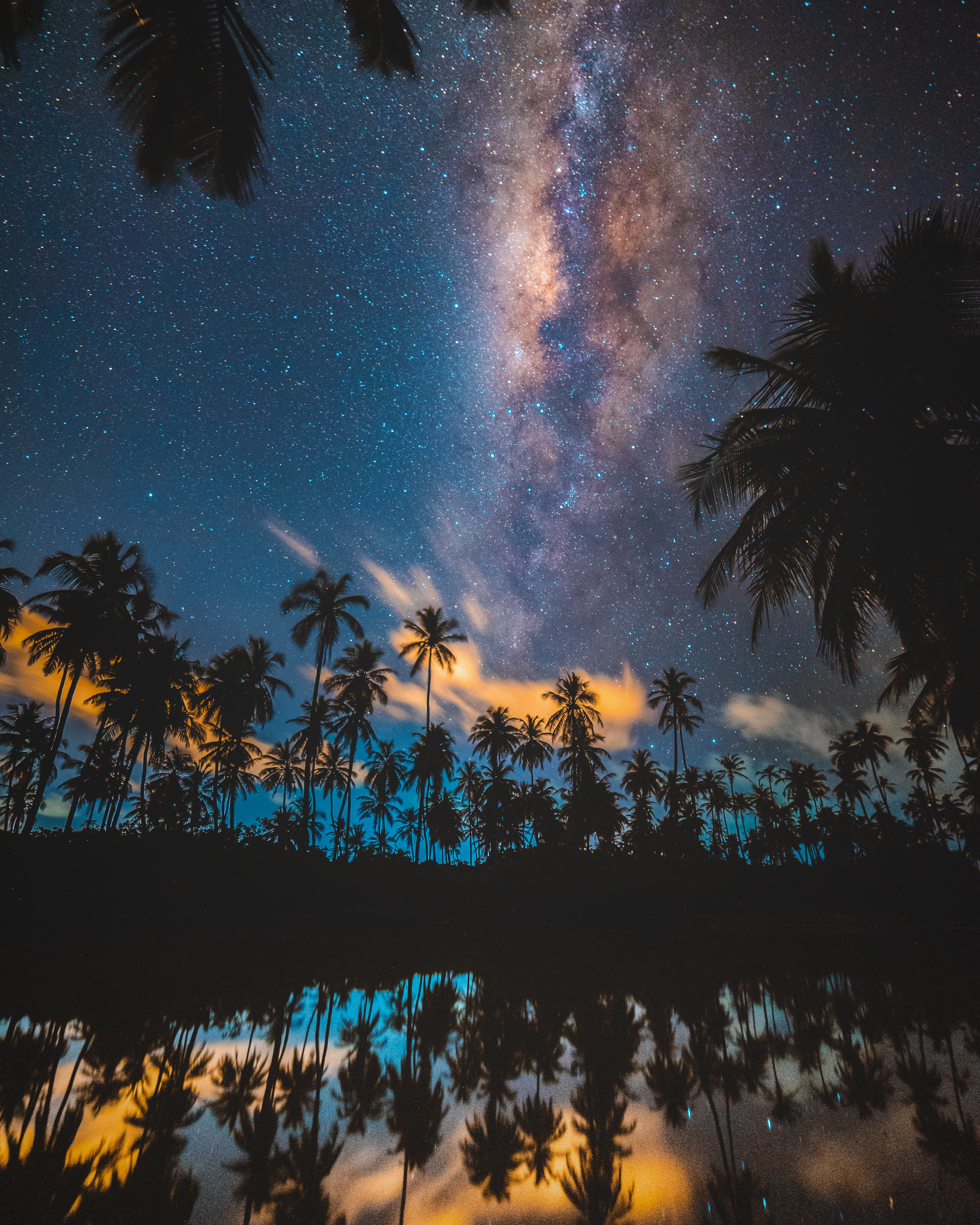 Mobile wallpaper stars, nature, night, palms, starry sky, milky way