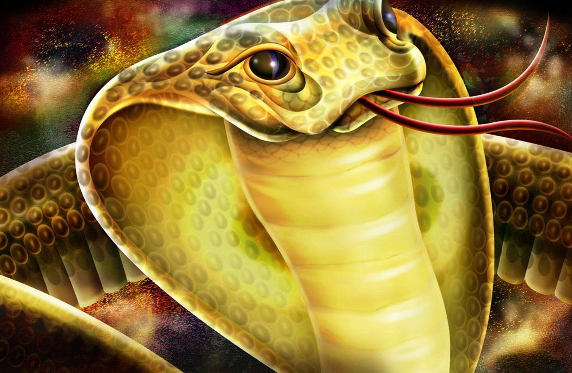 Descarga gratis la imagen Serpiente, Reptiles, Animales en el escritorio de tu PC
