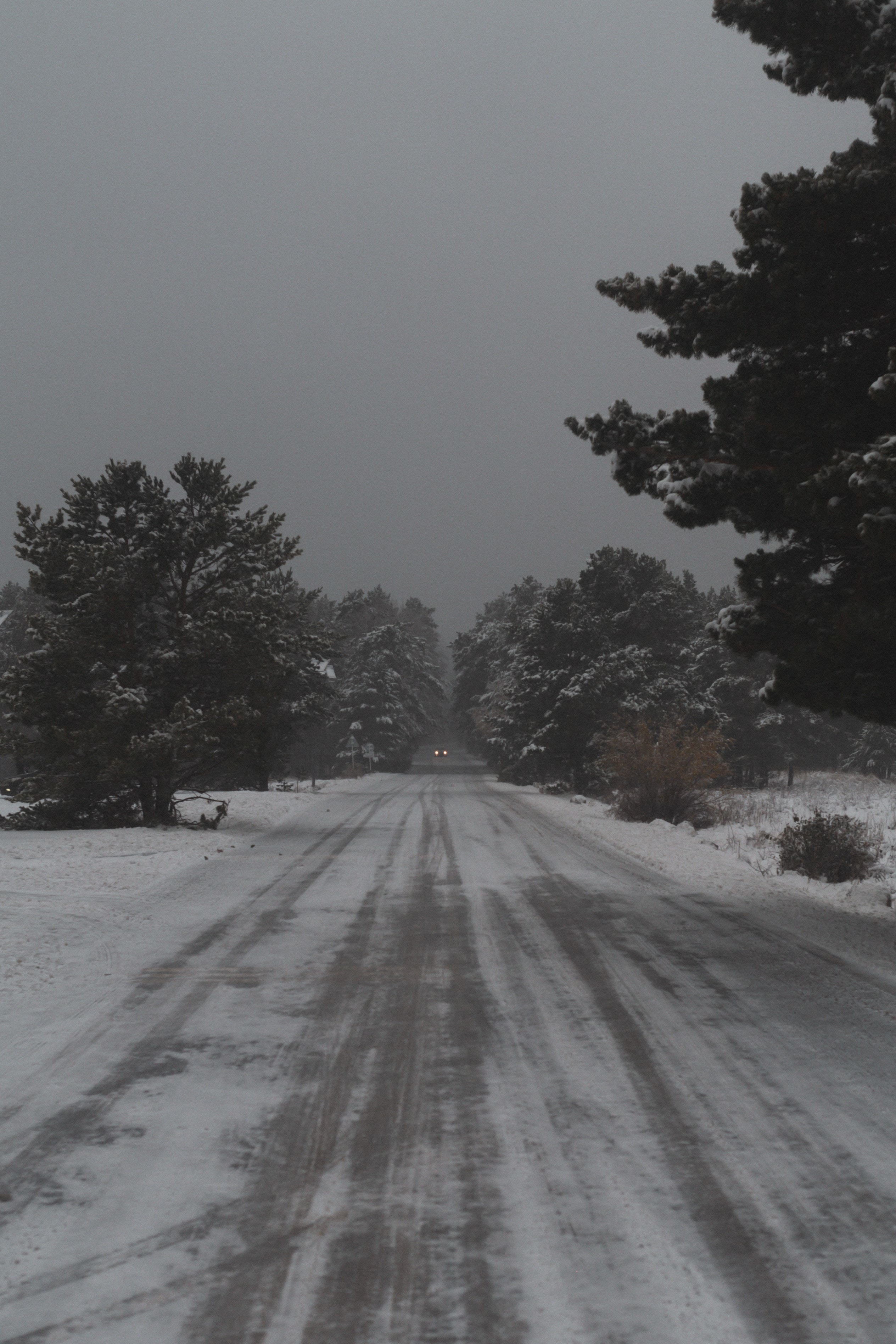 PCデスクトップに積雪, 雪に覆われた, 冬, 道, 木, 道路, 雪, 自然画像を無料でダウンロード
