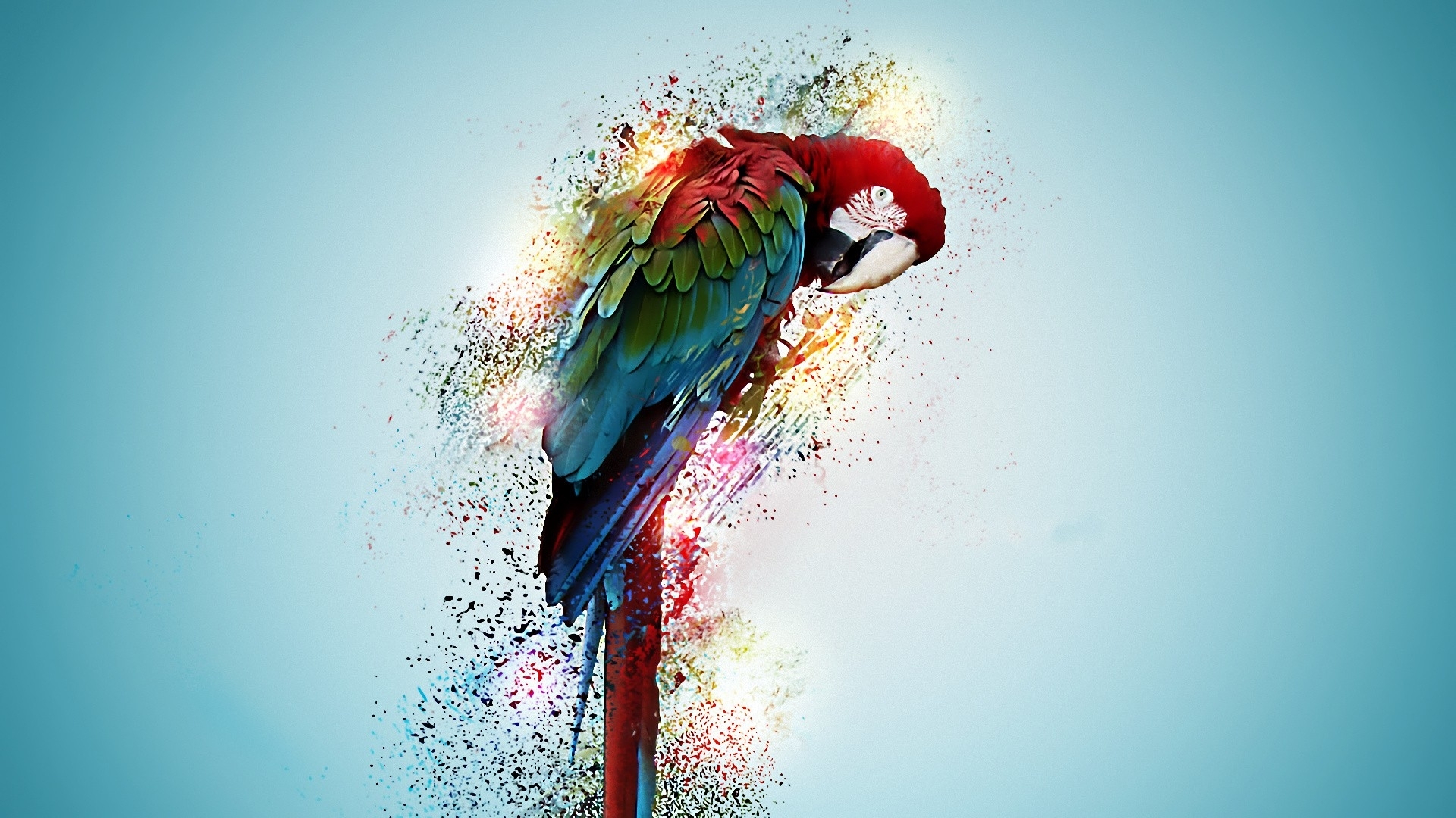 290147 скачать обои животные, красно зеленый ара, птицы - заставки и картинки бесплатно