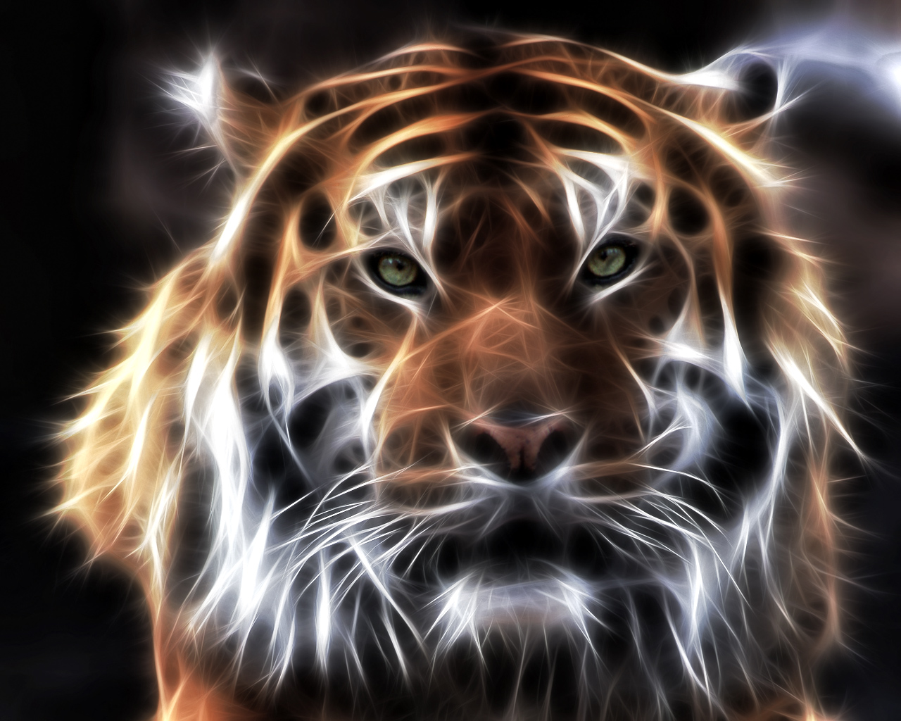 Скачать обои бесплатно Животные, Тигр картинка на рабочий стол ПК