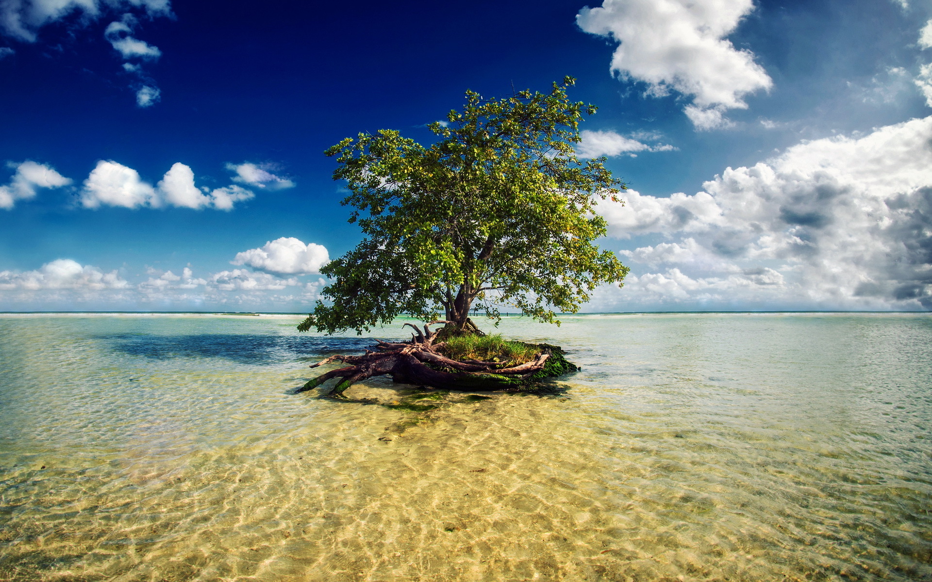 Laden Sie das Landschaft, Bäume, Sky, Sea, Clouds-Bild kostenlos auf Ihren PC-Desktop herunter