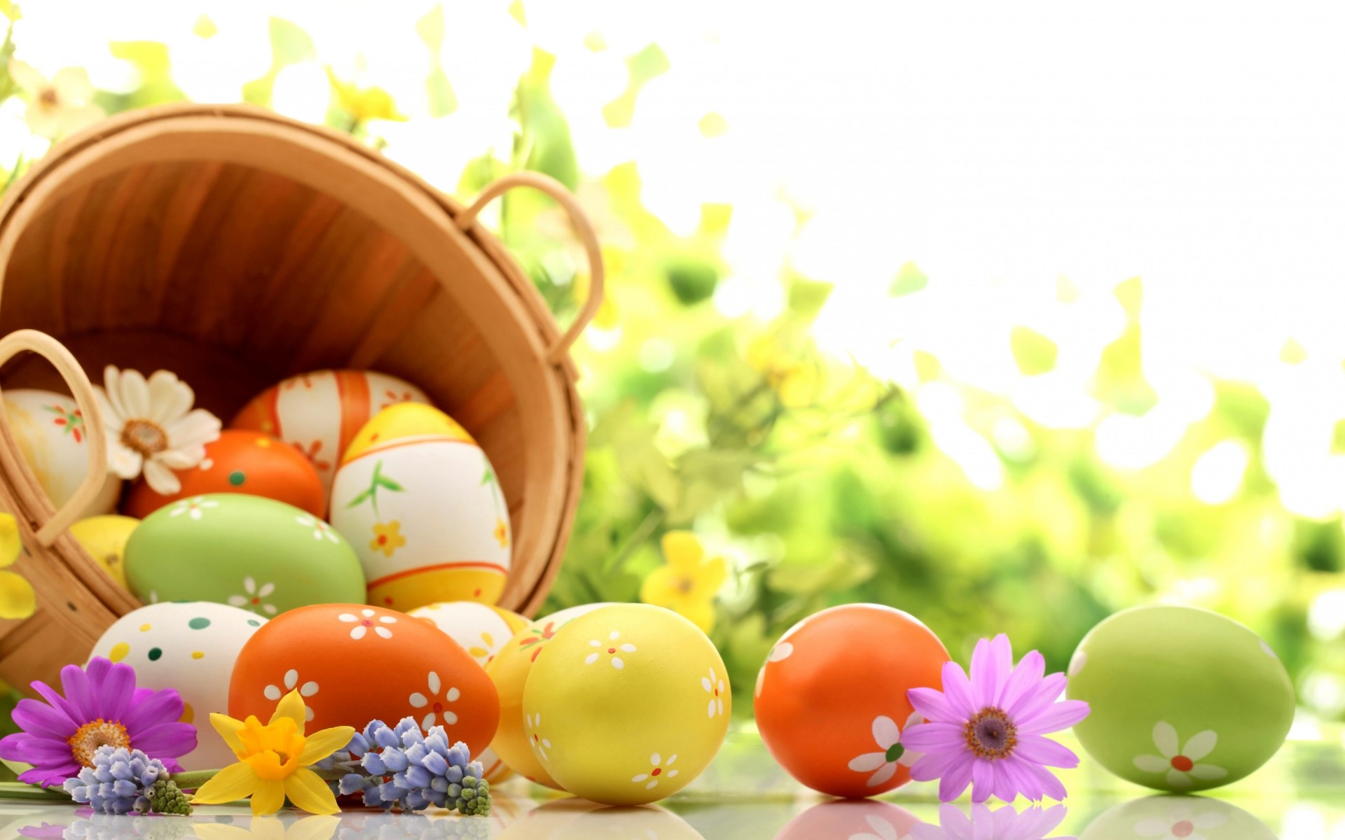 Free download wallpaper Easter, Flower, Holiday, Colors, Colorful, Egg on your PC desktop