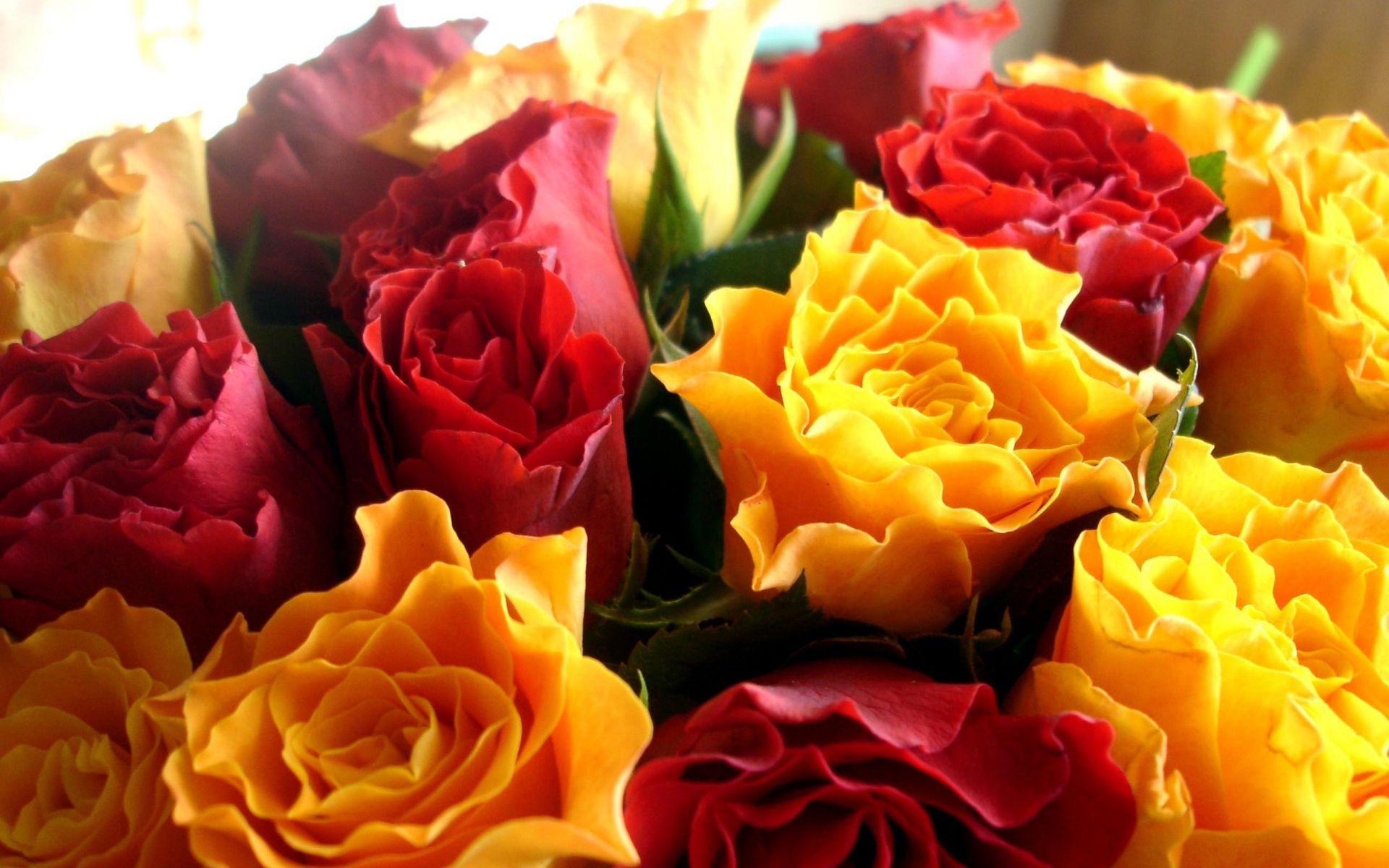 PCデスクトップにフラワーズ, 花, 薔薇, 地球, 黄色い花, 赤い花画像を無料でダウンロード