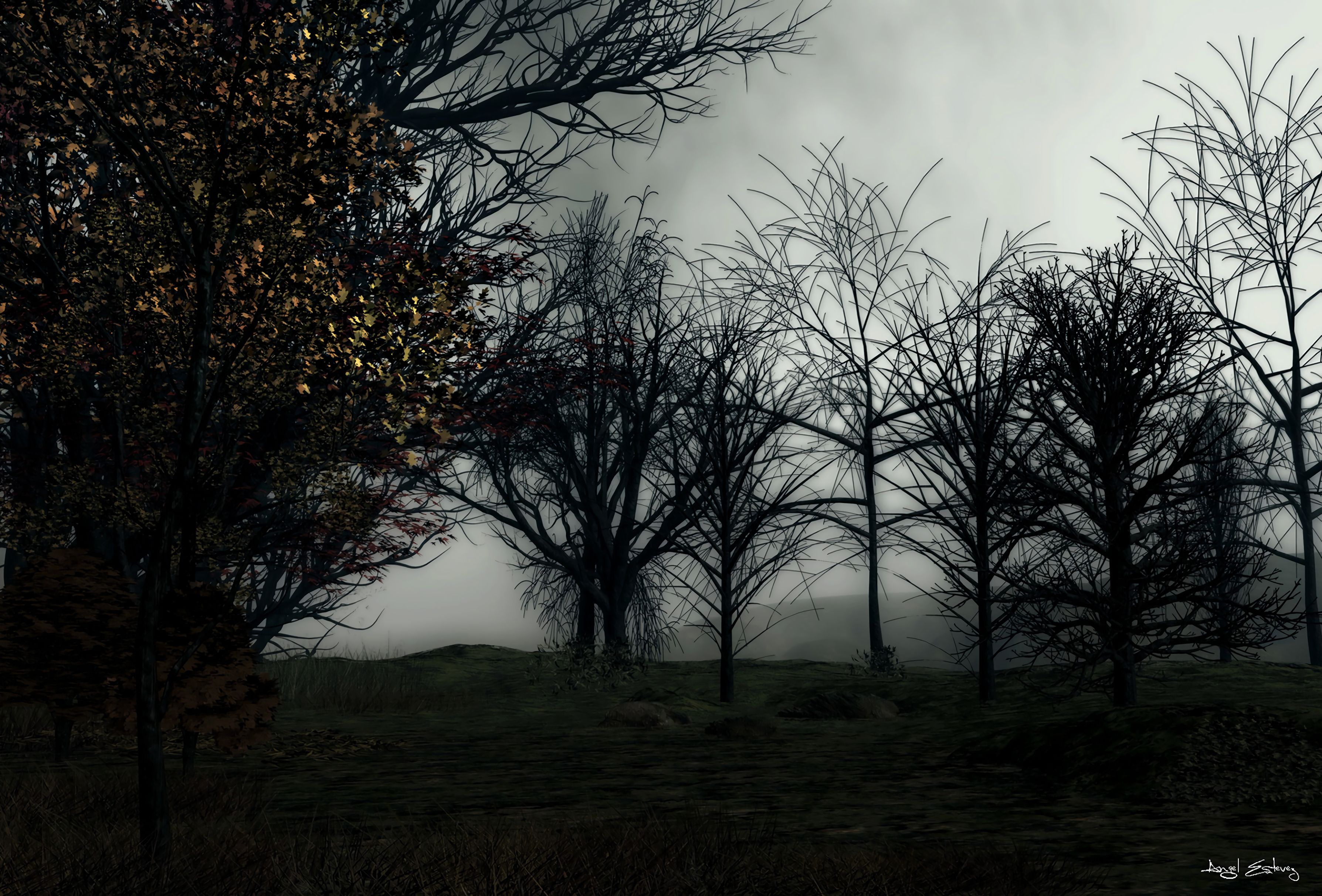 Laden Sie das Bäume, Nebel, Wald, Kunst, Dunkel-Bild kostenlos auf Ihren PC-Desktop herunter