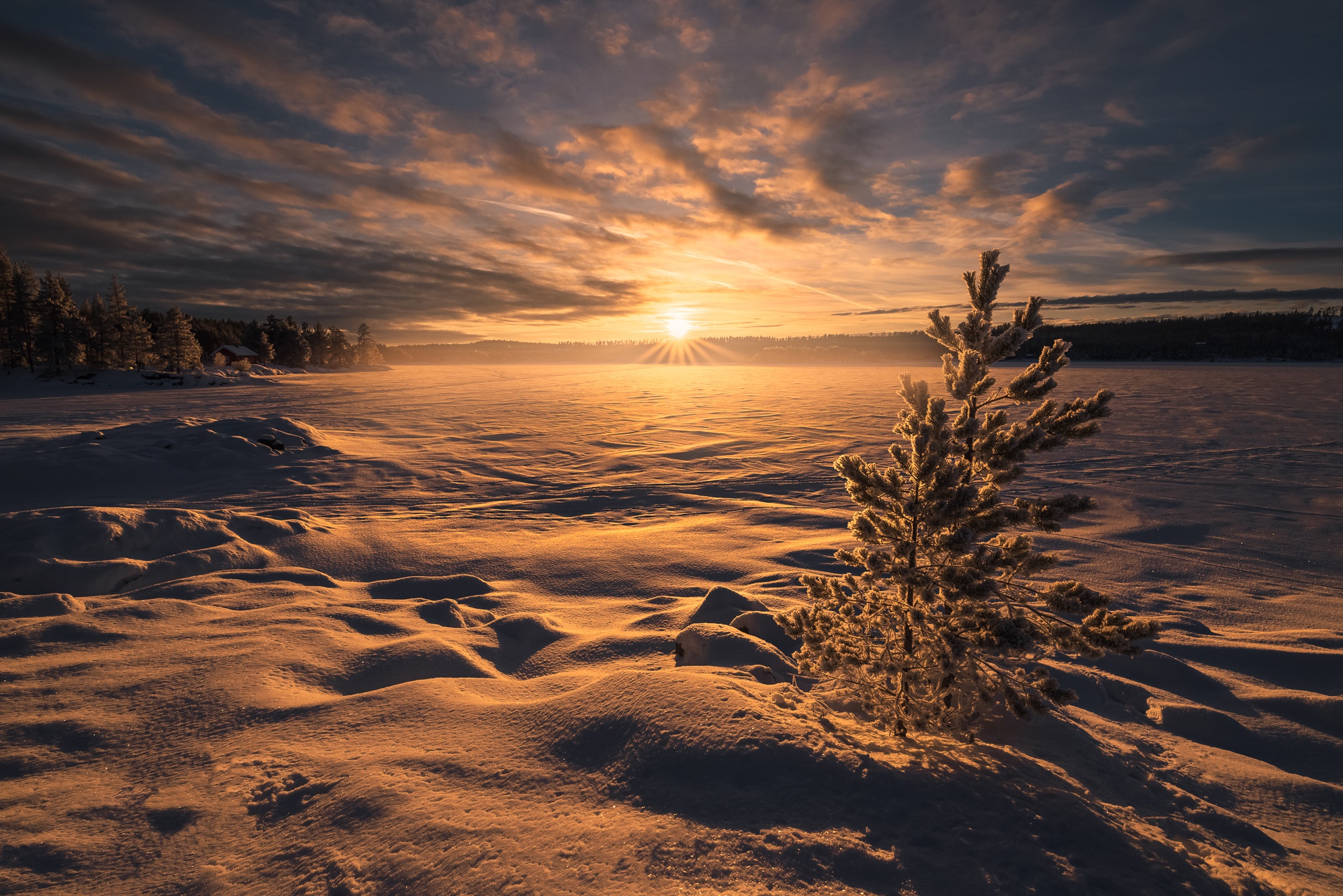 Download mobile wallpaper Landscape, Winter, Nature, Snow, Sunrise, Earth for free.