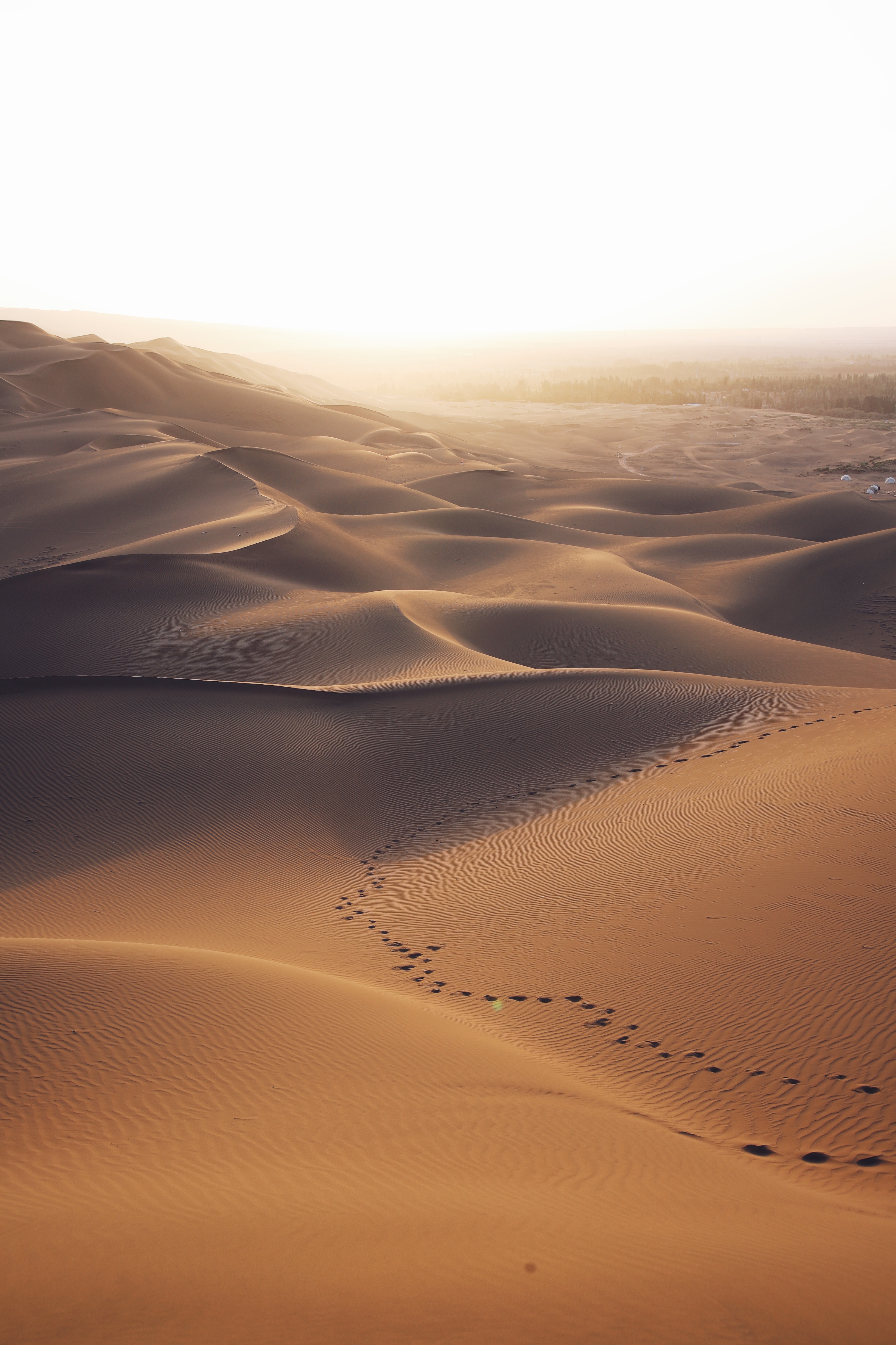 85205 скачать обои пустыня, пейзаж, природа, дюны, песок, следы - заставки и картинки бесплатно