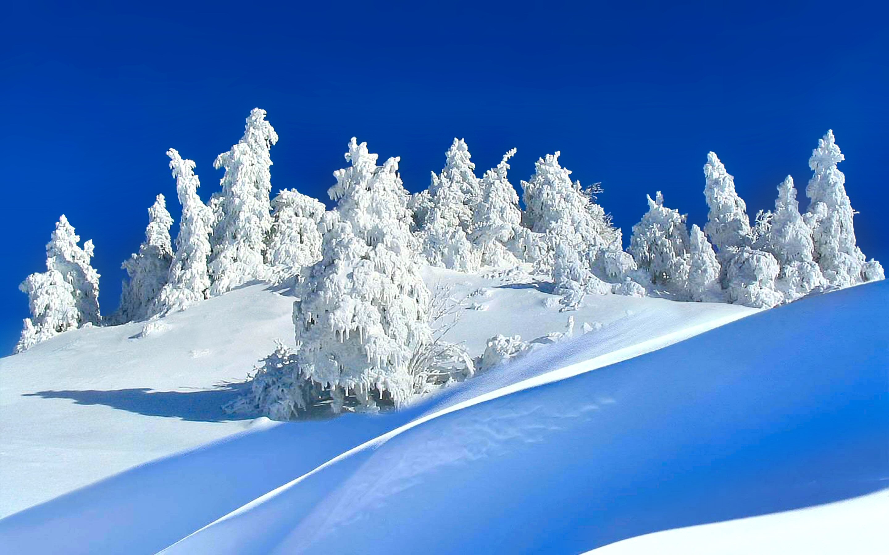 Скачать картинку Зима, Природа, Небо, Снег, Белый, Земля/природа в телефон бесплатно.
