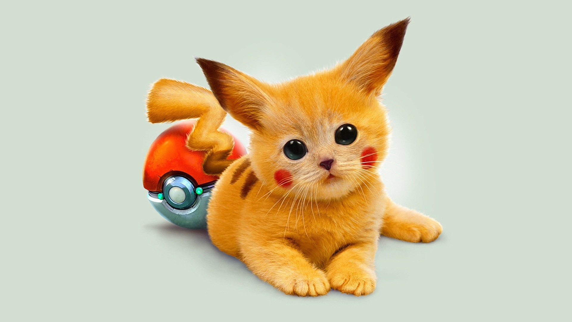 Free download wallpaper Cartoon, Anime, Pokémon, Cute, Pikachu on your PC desktop