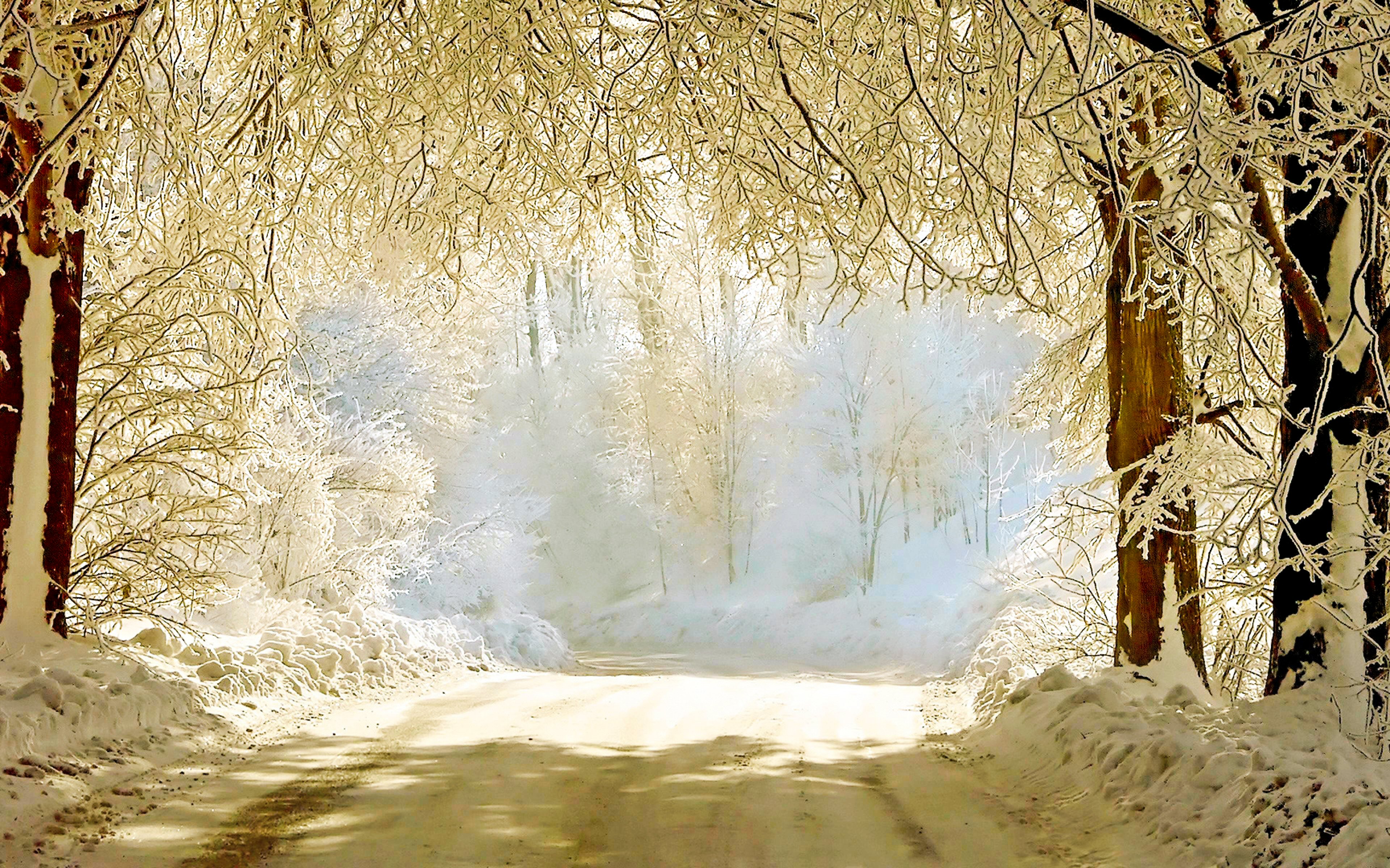 1491772 скачать картинку зима, белый, природа, снег, дорога, земля/природа - обои и заставки бесплатно