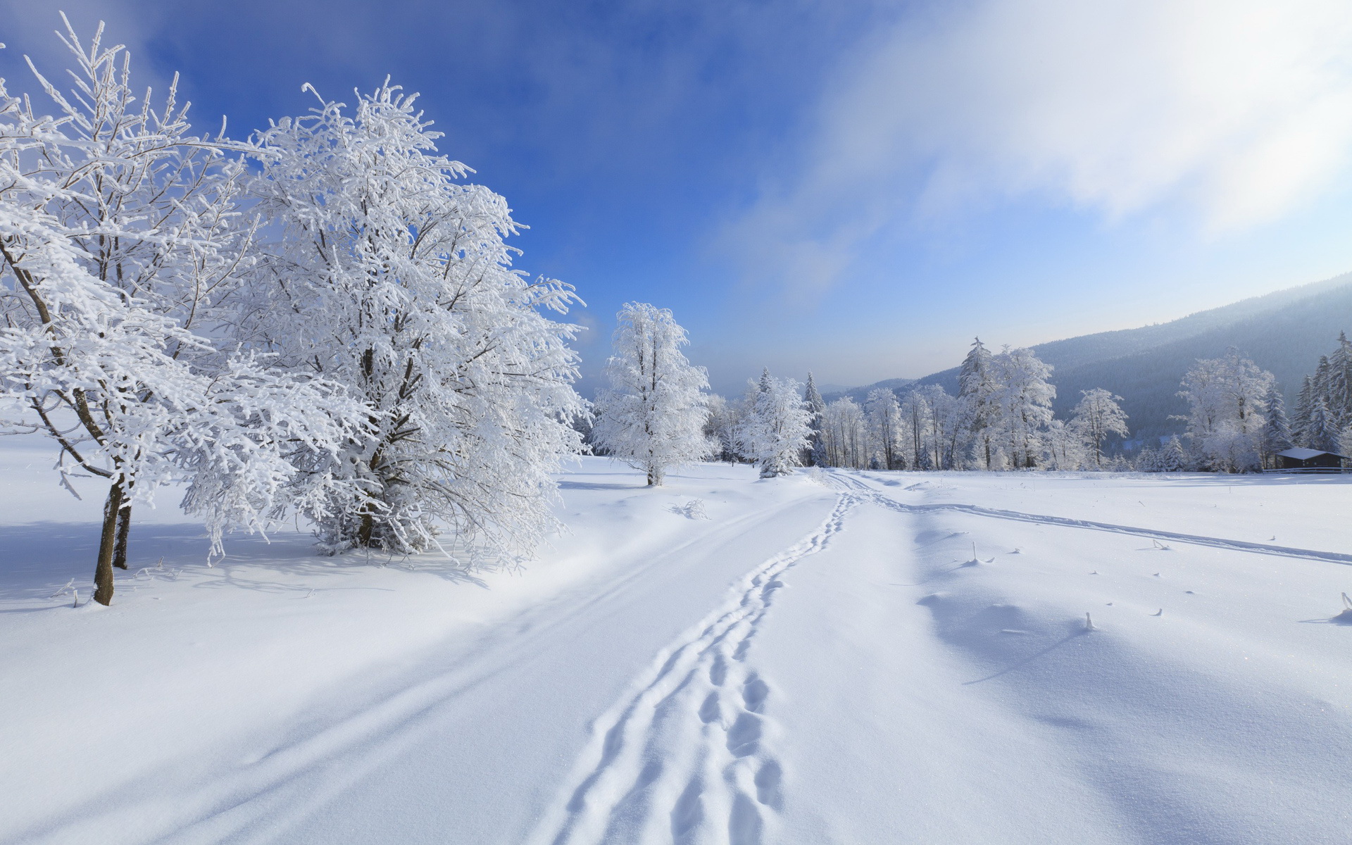 Handy-Wallpaper Winter, Erde/natur kostenlos herunterladen.