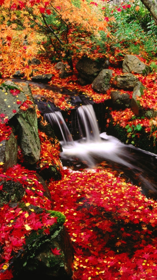 無料モバイル壁紙自然, 水, 秋, 葉, 滝, カナダ, 植生, 地球, モス, ストリームをダウンロードします。