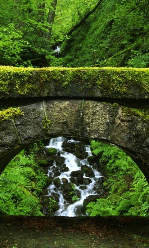 Download mobile wallpaper Forest, Earth, Stone, Moss, Stream, Arch for free.