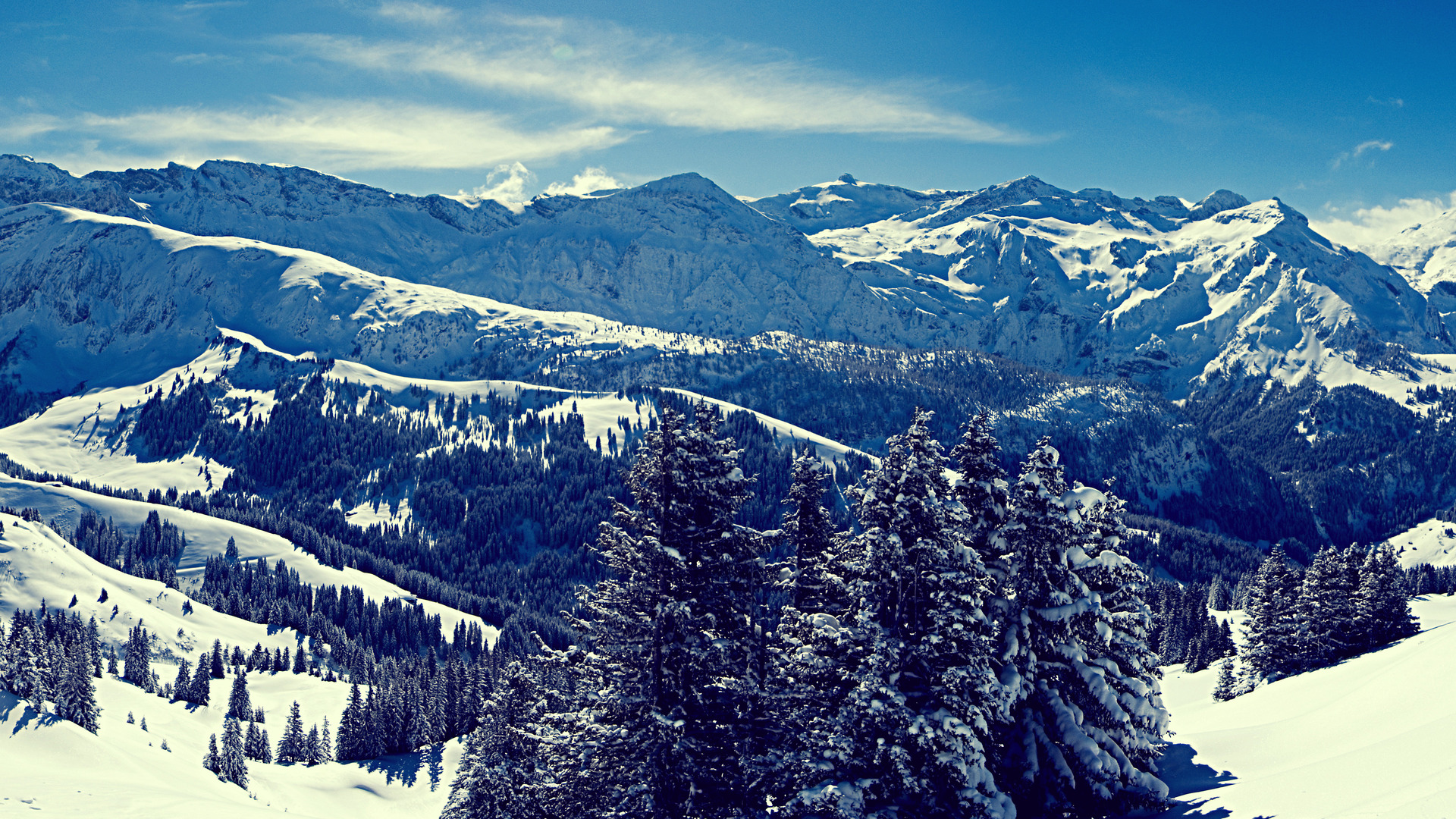 Téléchargez gratuitement l'image Hiver, Terre/nature sur le bureau de votre PC