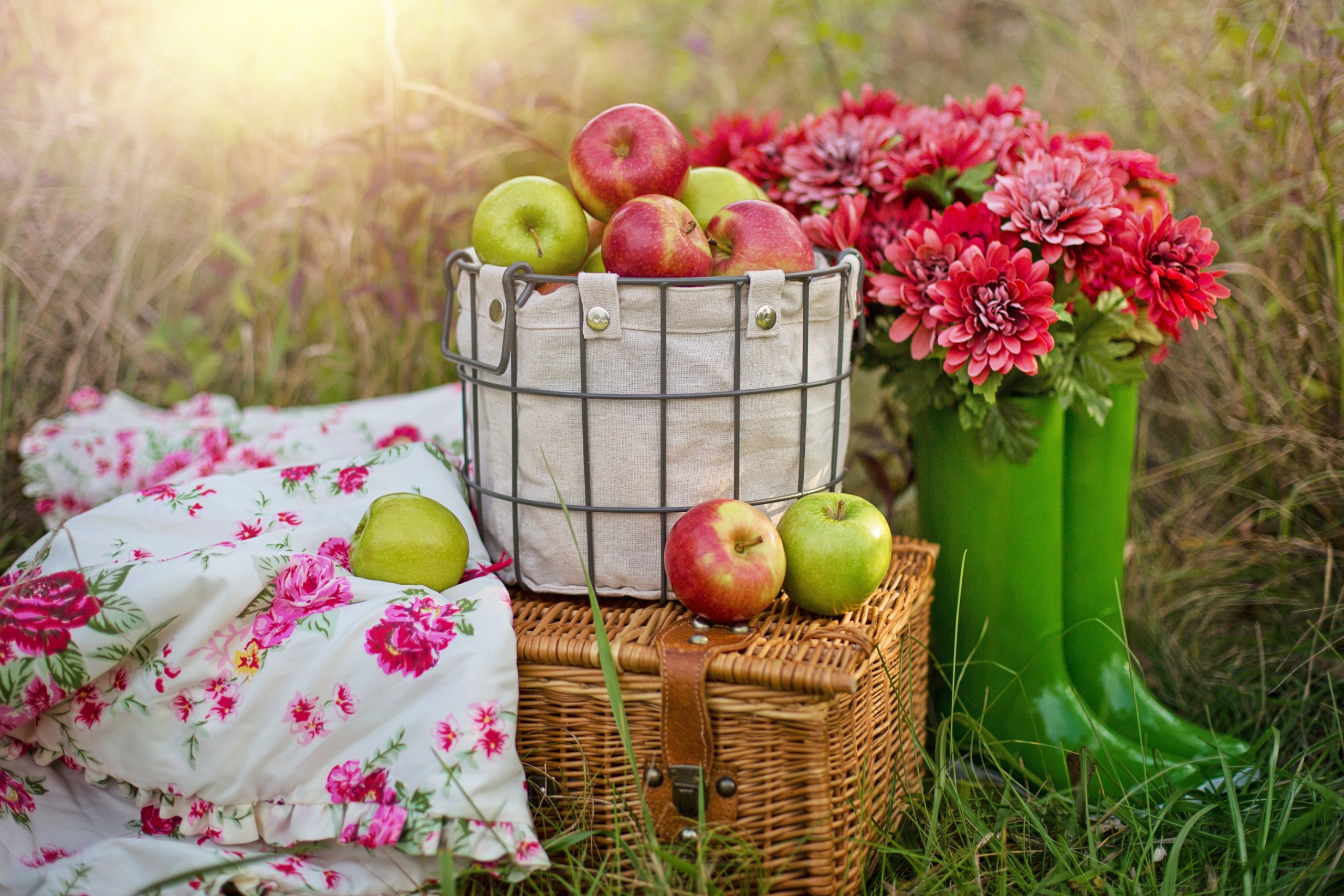 Download mobile wallpaper Food, Apple, Chrysanthemum, Flower, Fruit, Basket, Picnic for free.