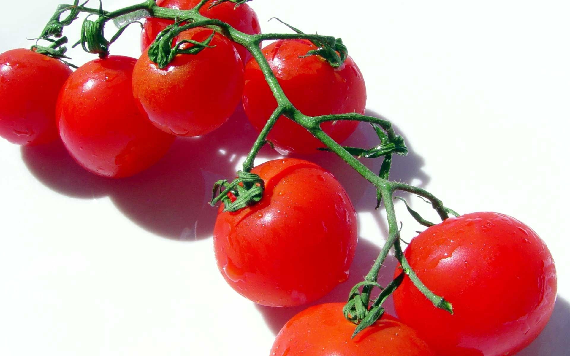 Descarga gratuita de fondo de pantalla para móvil de Comida, Rama, Tomate, Vegetal, Verdura, Un Tomate.