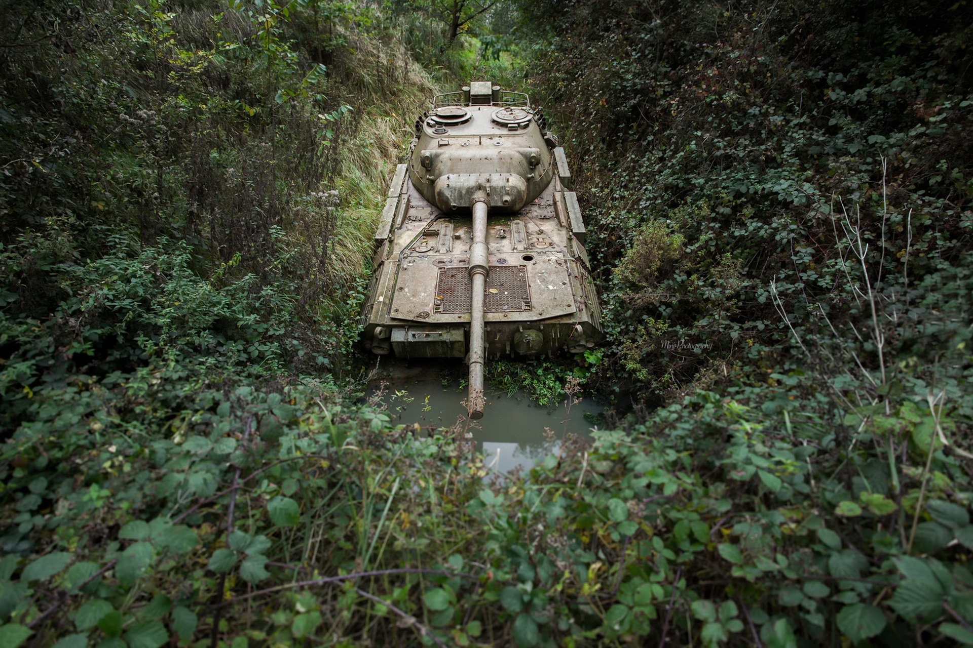 Baixe gratuitamente a imagem Tanques, Militar, Tanque na área de trabalho do seu PC