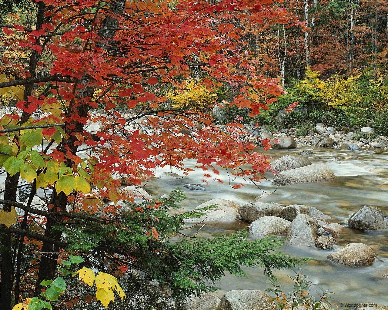 Скачать картинку Деревья, Пейзаж, Камни, Река, Осень в телефон бесплатно.