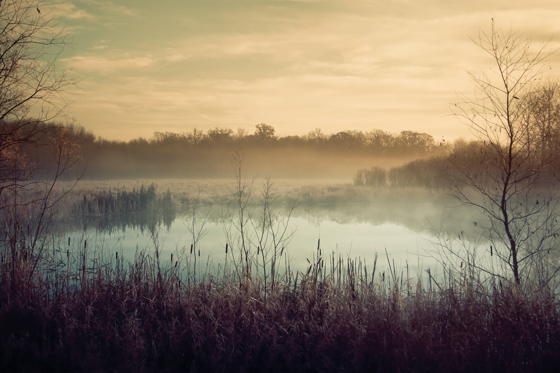 Descarga gratuita de fondo de pantalla para móvil de Niebla, Tierra/naturaleza.