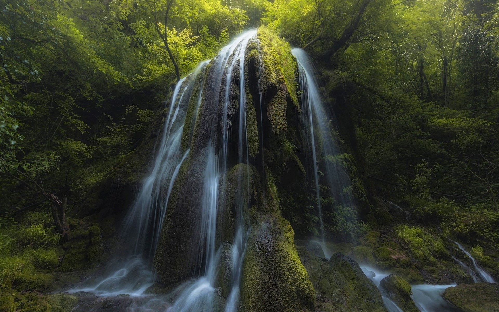 PCデスクトップに滝, 森, 地球, モス画像を無料でダウンロード