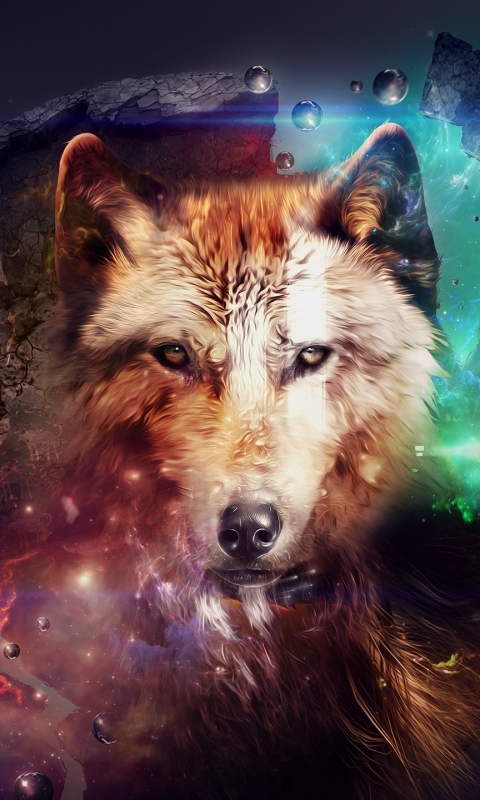 Download mobile wallpaper Wolf, Animal, Wolves for free.