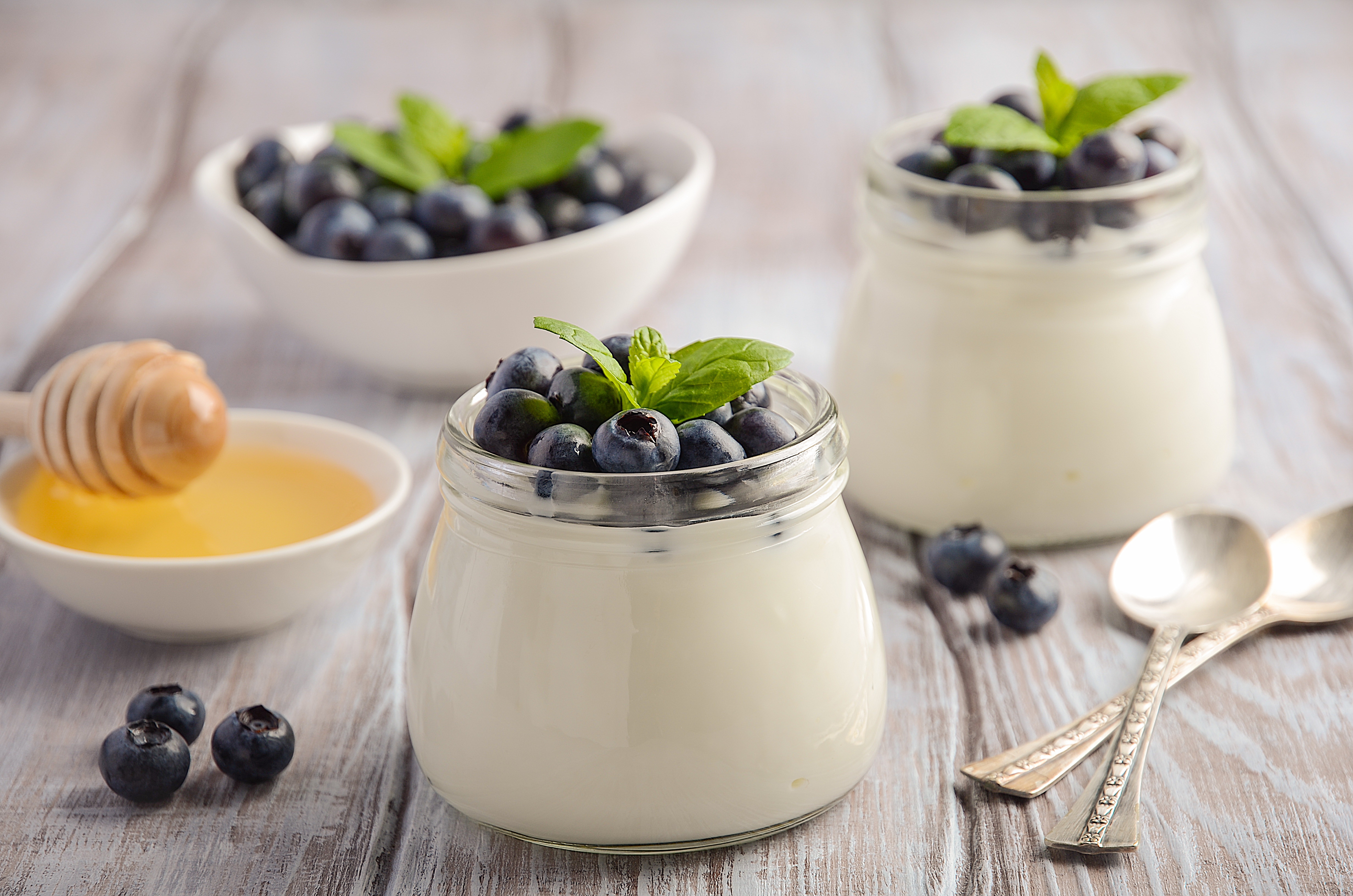 Download mobile wallpaper Food, Blueberry, Still Life, Berry, Honey, Yogurt for free.