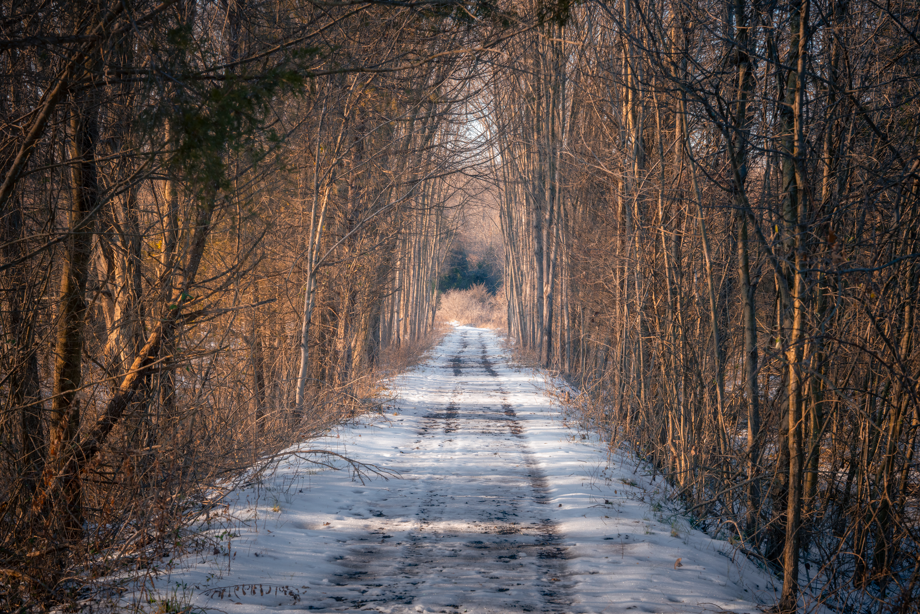 Download mobile wallpaper Snow, Trees, Road, Forest, Winter, Nature for free.