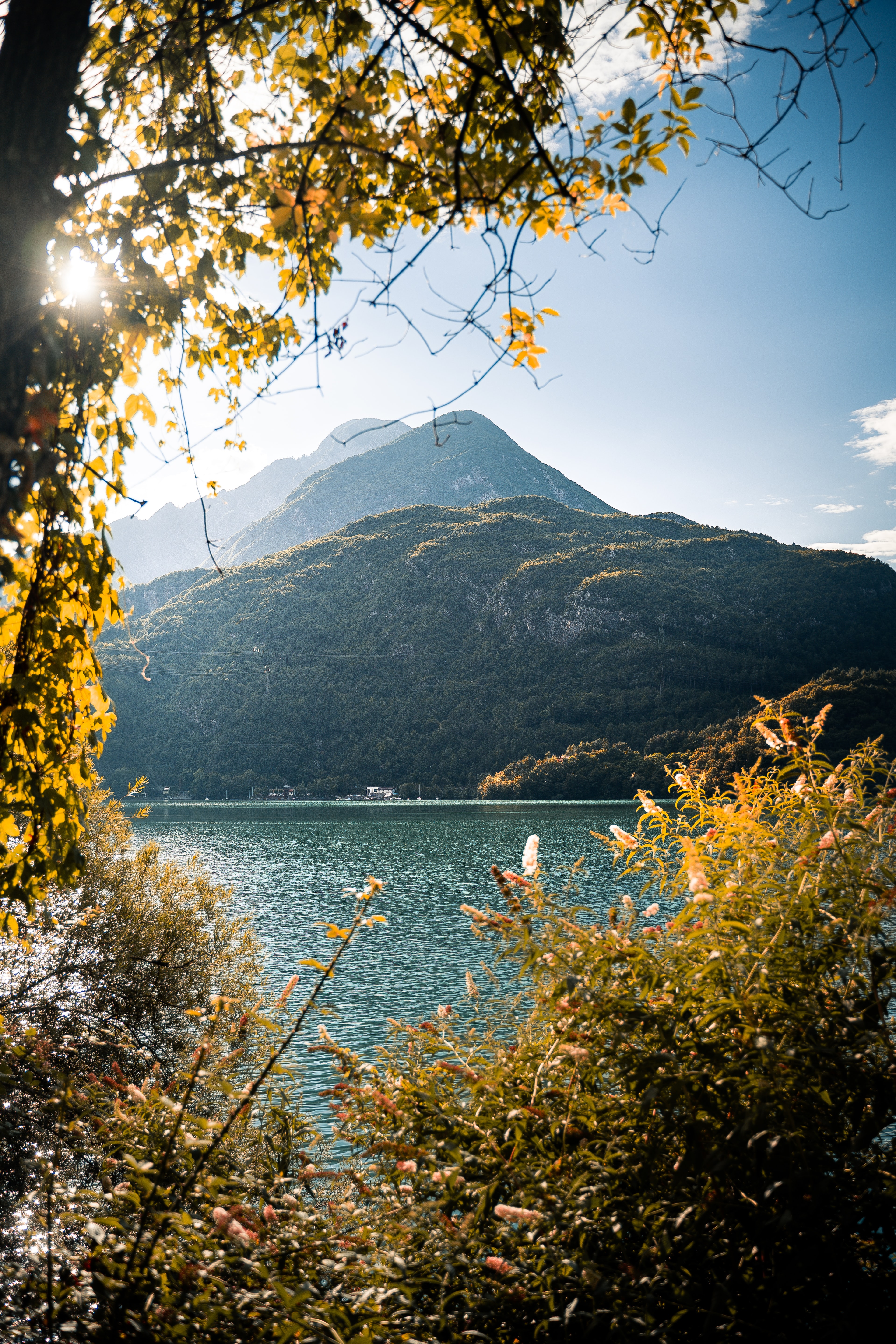 Download mobile wallpaper Bush, Branches, Lake, Mountains, Nature for free.