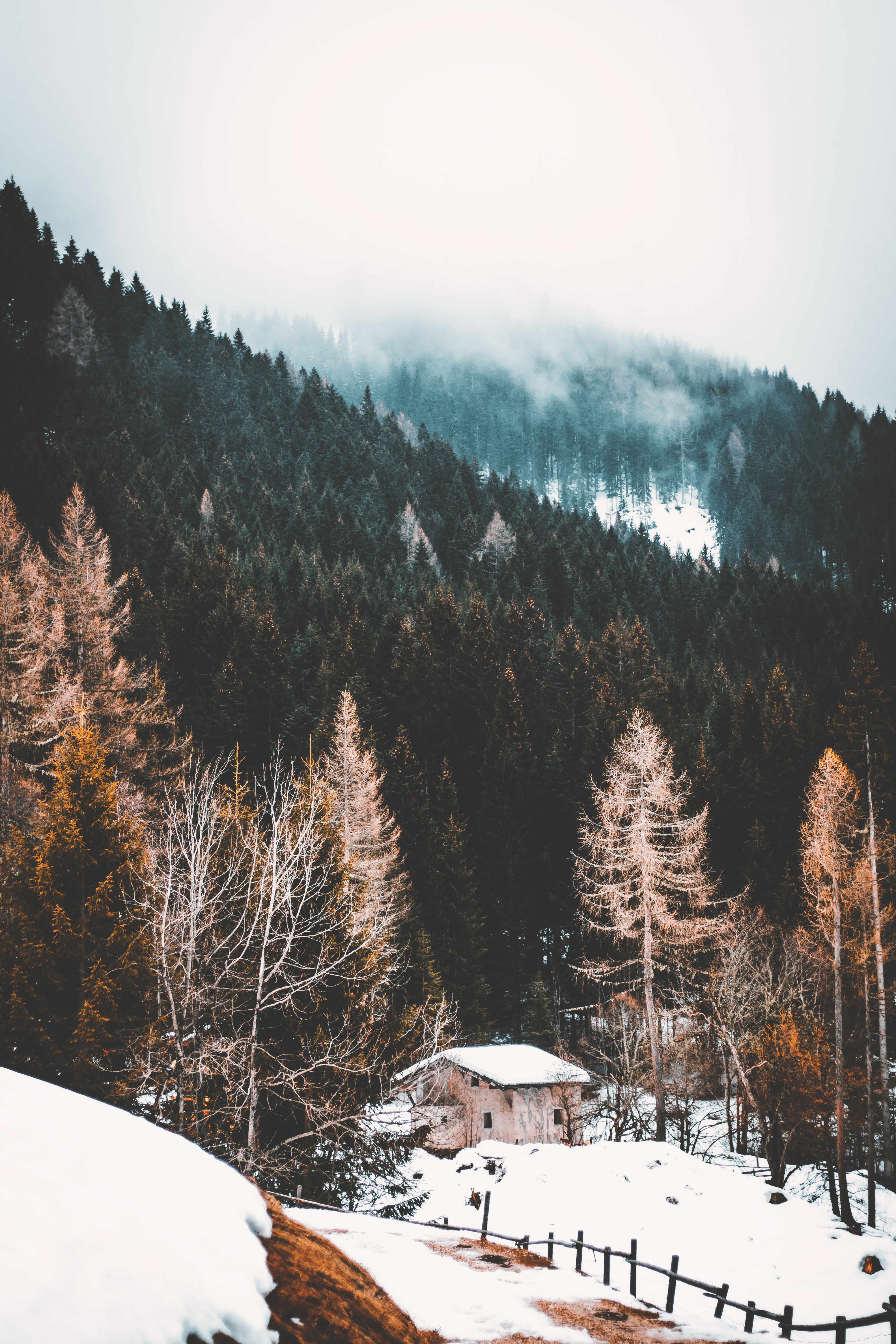 Laden Sie das Natur, Nebel, Wald, Haus, Schnee-Bild kostenlos auf Ihren PC-Desktop herunter