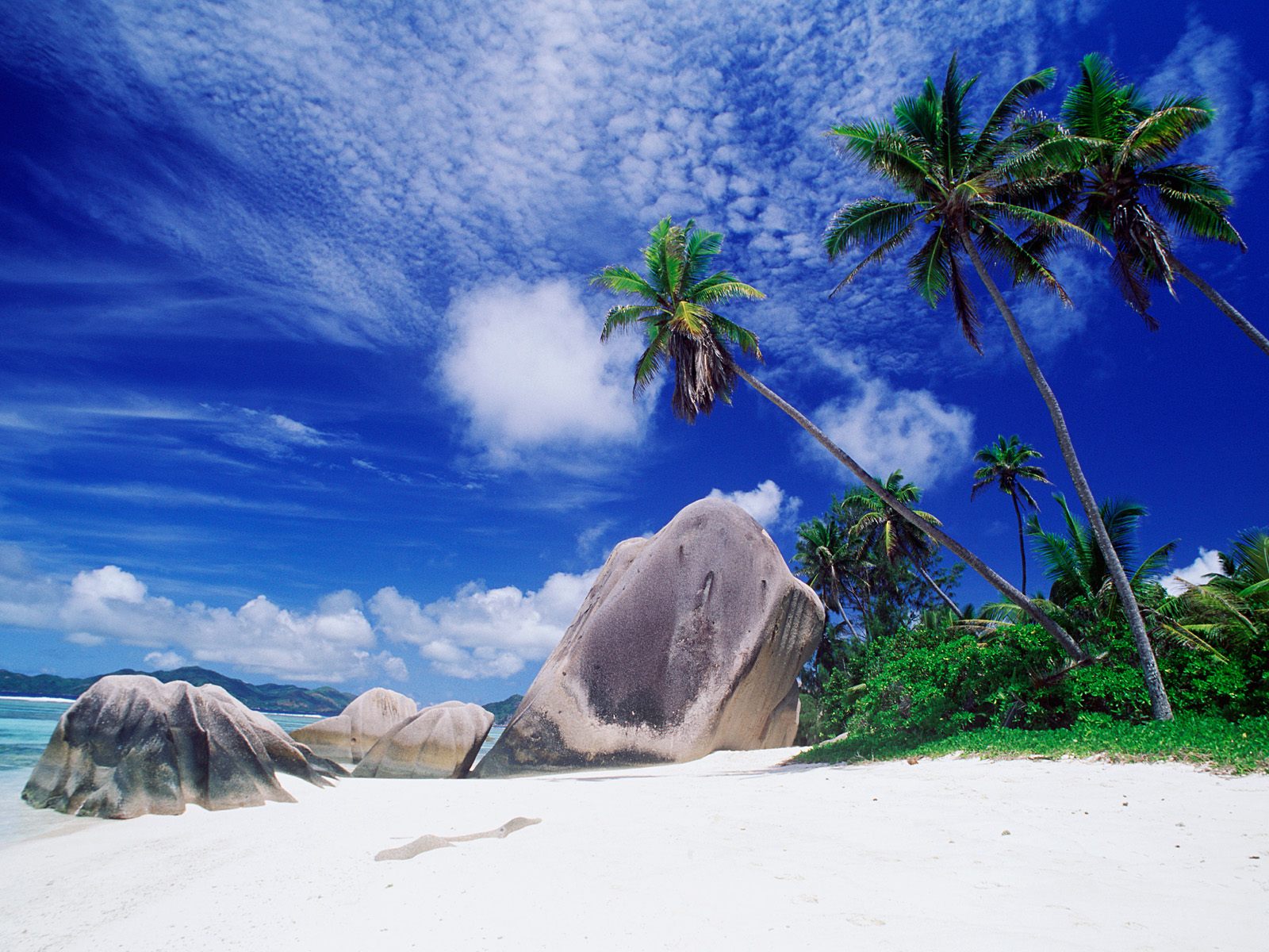 1076702 завантажити шпалери земля, пляжний, океан, пальма, небо - заставки і картинки безкоштовно